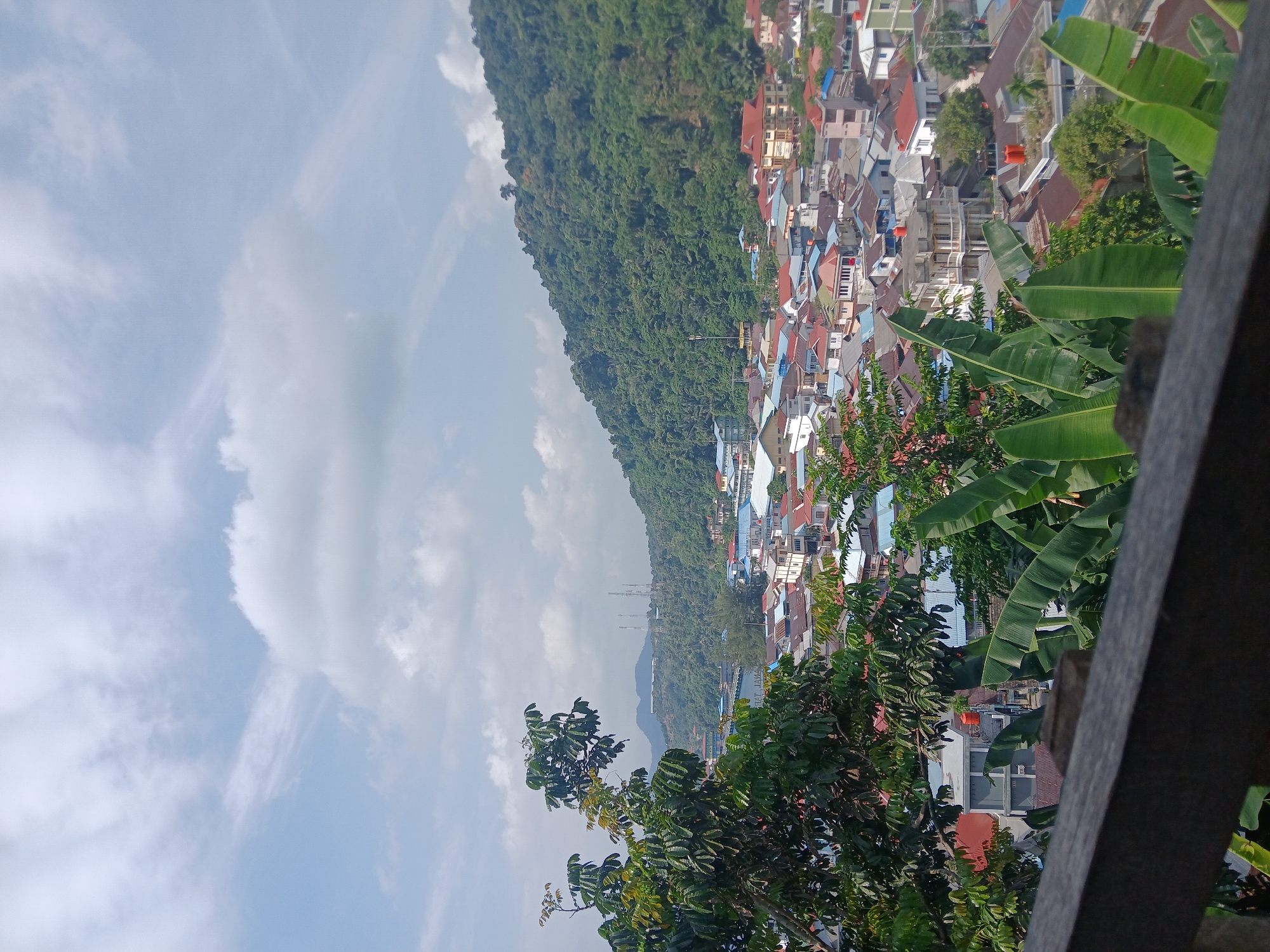 This is a high-angle, eye-level, outdoor, daylight shot of the city of Terempa, Indonesia. The scene is dominated by a dense, green, forested mountain that slopes down towards the city. The city itself is a densely packed collection of buildings with colorful roofs, primarily red, blue, and grey. Many of the buildings appear to be residential, with a mix of single and multi-story structures. Banana trees with large, green leaves are prominent in the foreground, obscuring some of the lower buildings. A wooden railing is visible at the very bottom of the frame, suggesting the photo was taken from a balcony or elevated viewpoint. In the distance, a body of water, likely the sea, can be seen, along with several prominent radio towers on the hills. The sky is a light blue with scattered white clouds. There are no people visible in the image.