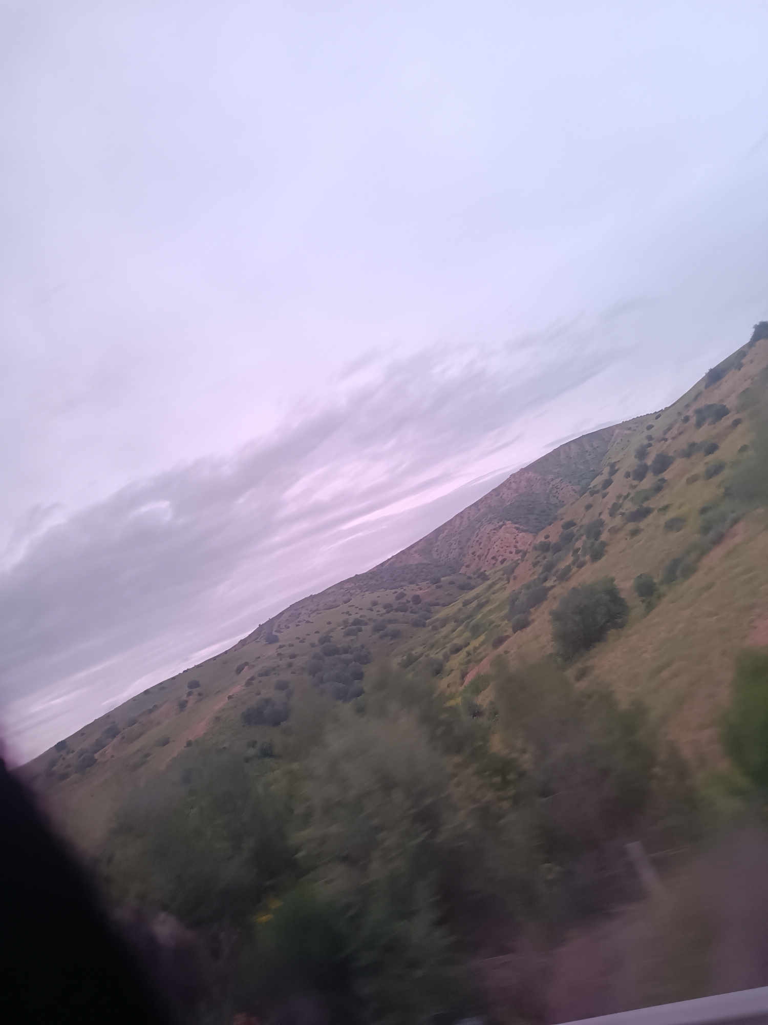 The image depicts a hillside landscape near Ait Siberne, Morocco, taken from a moving vehicle. The sky is overcast with grey and light purple tones. The hillside is covered in sparse vegetation, with a mix of green grass and scrub brush. A section of reddish-brown rock is visible on the upper part of the hillside. In the foreground, blurry trees and a railing suggest the view is from a vehicle.