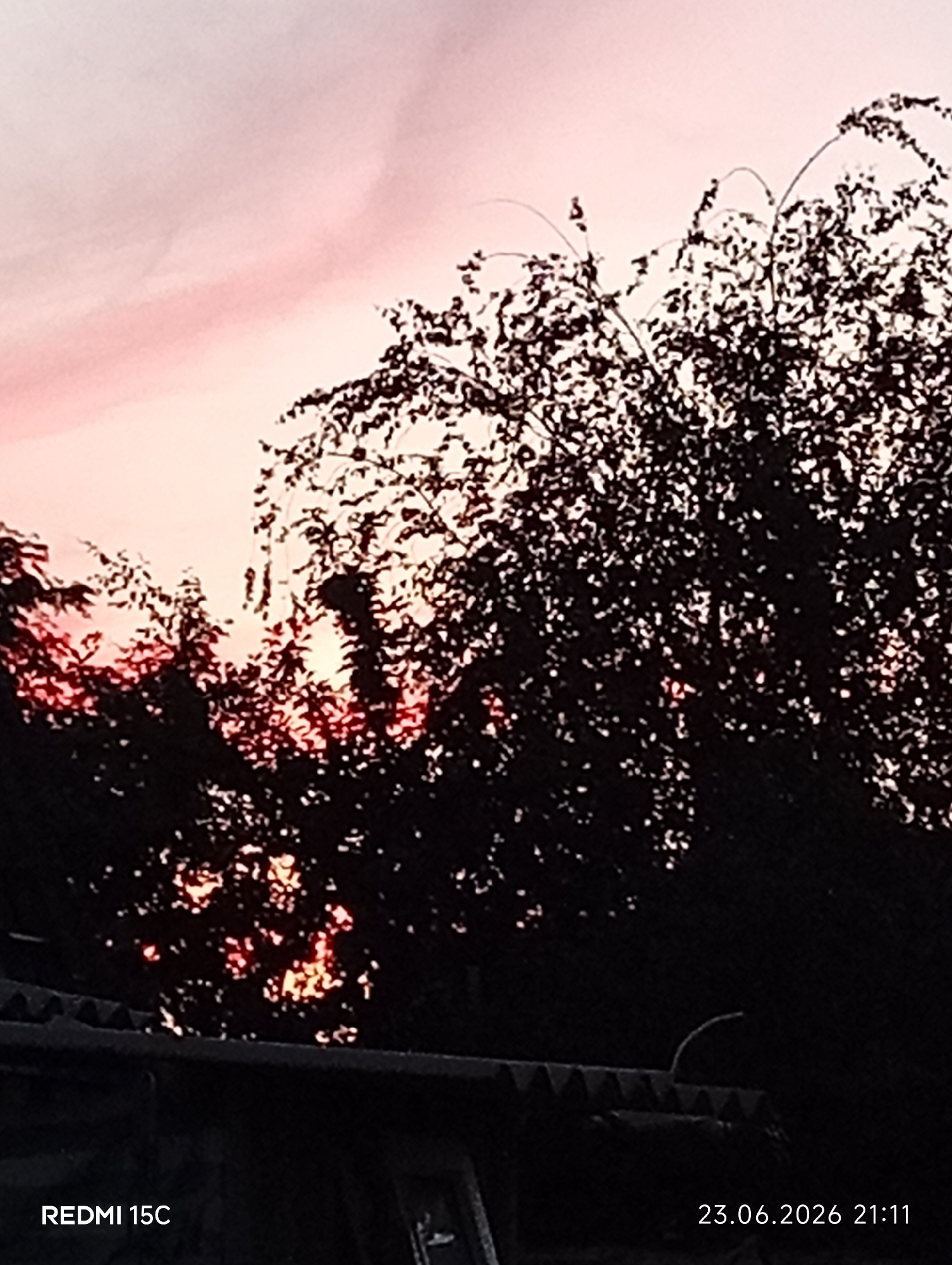 The image shows a silhouette of trees against a pink and orange sky, likely at sunset or sunrise. The foliage is dense, obscuring the sky in many places. The lower part of the image shows a dark, corrugated roofline, suggesting an outdoor or semi-outdoor setting. The timestamp "23.06.2026 21:11" and the text "REDMI 15C" are visible in the bottom corners, indicating the date, time, and device used for the photograph. There are no people or discernible actions depicted. The location is stated to be in the city of Mykolaivka, Ukraine.