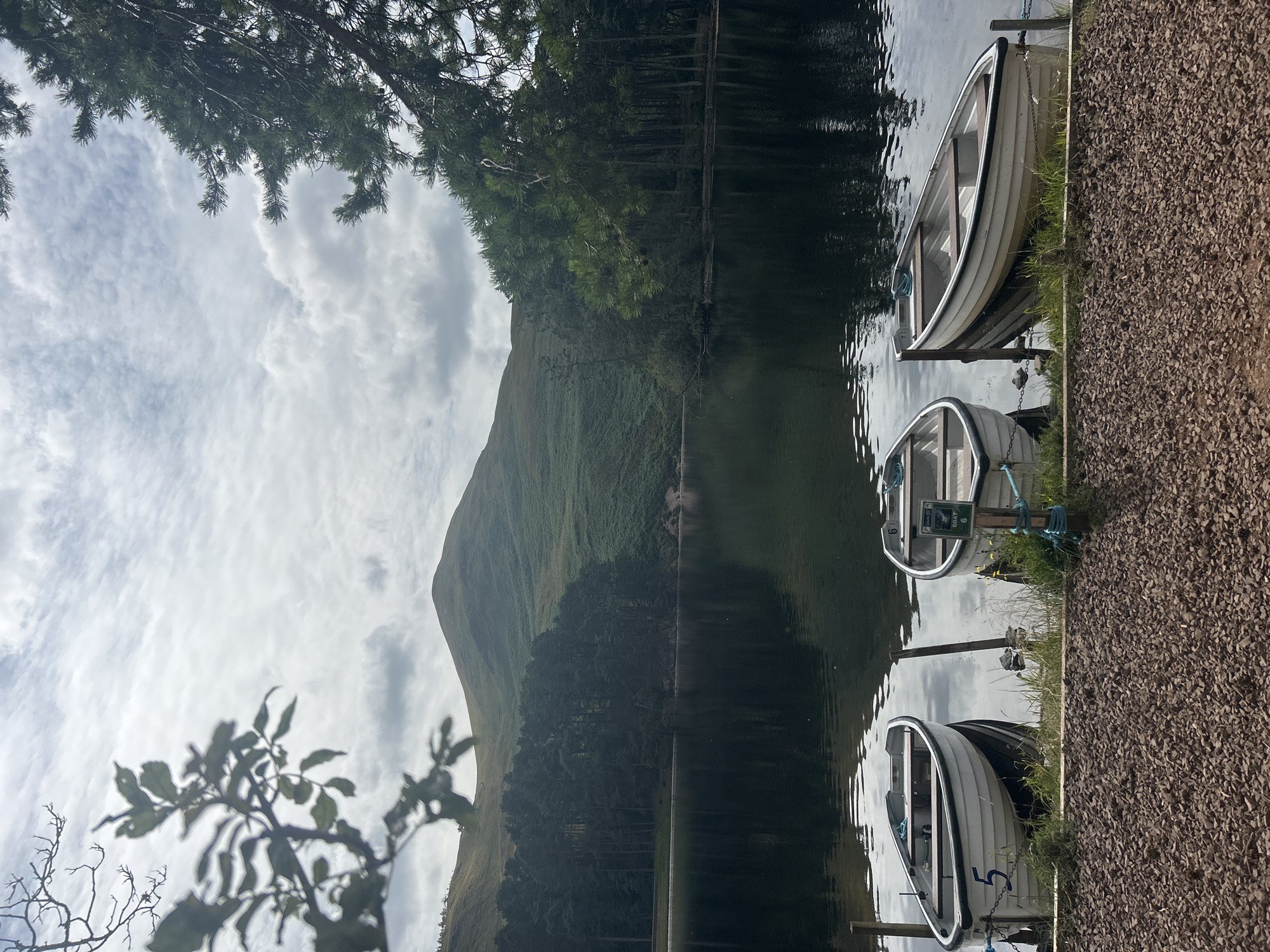 The image depicts a tranquil scene at a lake, possibly Glencorse Reservoir, near Penicuik, Scotland. Three white rowing boats, numbered 5, 6, and one unnumbered, are moored near the shore, which is covered in reddish-brown gravel. The boats are lined up, with the one numbered 5 on the left, the unnumbered boat in the middle, and the one numbered 6 on the right. The water of the lake is dark and reflective, mirroring the overcast sky and the surrounding landscape.
In the background, a dense forest of tall coniferous trees forms a dark band along the shoreline. Beyond the trees, rolling hills covered in green vegetation rise towards a prominent, rounded mountain peak. The sky is filled with clouds, with patches of lighter sky suggesting a break in the overcast conditions. A branch of a leafy tree hangs from the top left corner of the frame, adding a foreground element and framing the view. The overall impression is one of natural beauty and peacefulness, with the boats hinting at potential recreational activities.