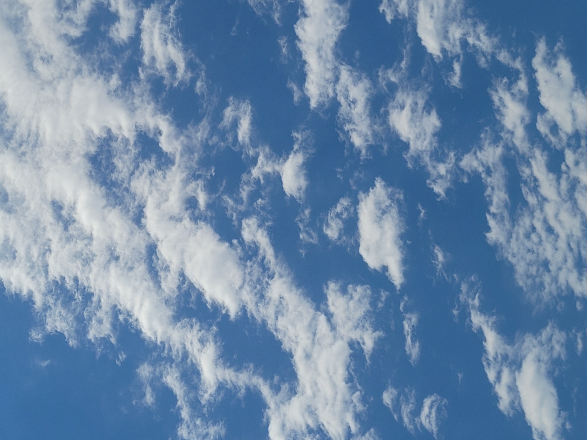 The image shows a blue sky filled with wispy, white clouds. The clouds appear to be altocumulus or cirrocumulus, based on their shape and altitude. The perspective is from below, looking up at the sky. There are no people or objects visible other than the sky and clouds. The location is not determinable from the image.