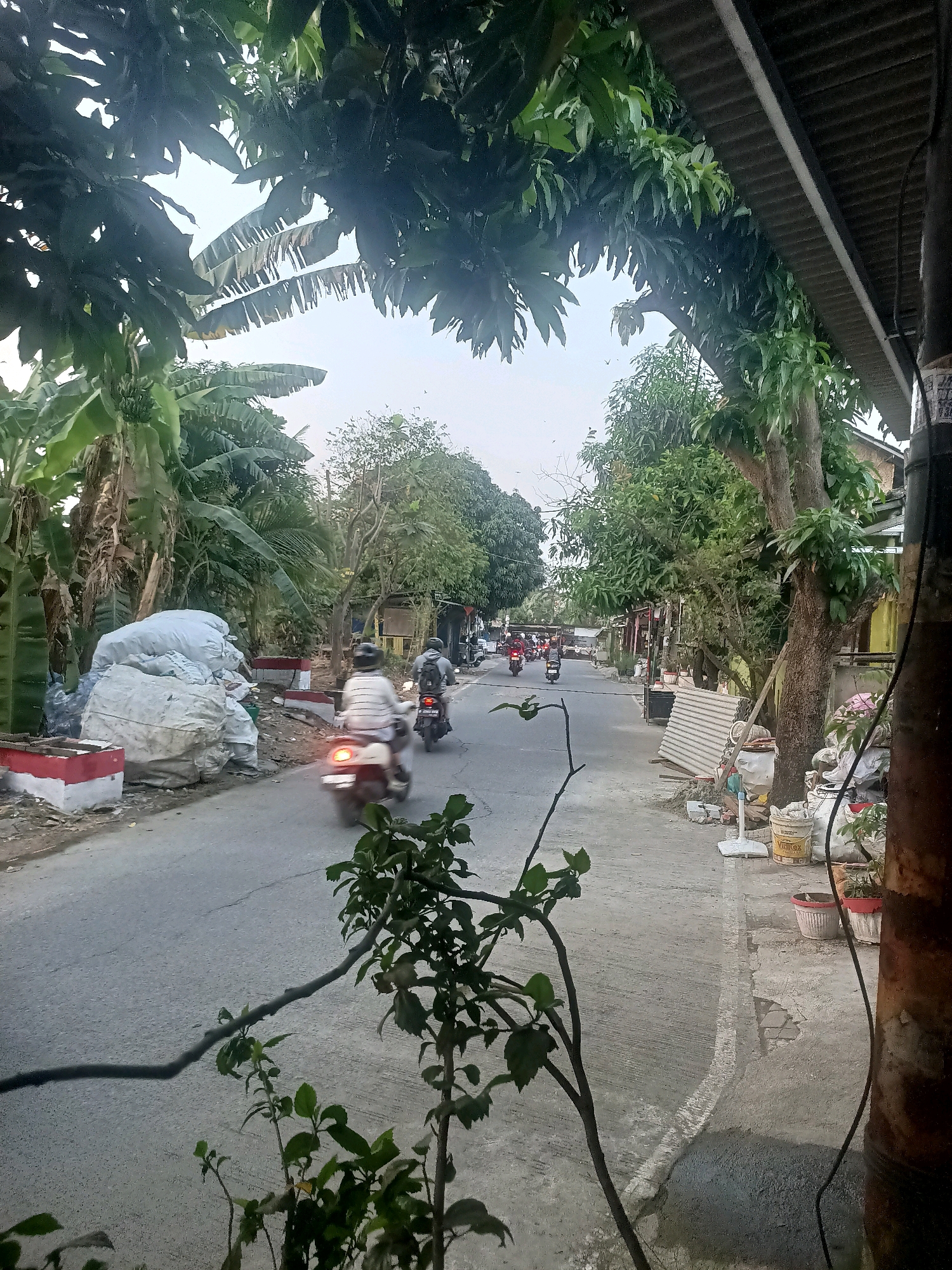 The image depicts a street scene, likely in a residential area, with several motorcycles in motion. In the foreground, foliage from a tree partially obscures the view. A paved road runs through the center of the image, with a sidewalk or shoulder on the right side. On the left side of the road, there are large piles of white sacks, possibly containing waste or materials, with red and white markings on adjacent structures. Trees and vegetation are abundant on both sides of the street, with some buildings visible in the background. The sky is overcast. Several individuals are riding motorcycles, some of which are blurred due to motion. On the right side of the road, there are potted plants, a white electric fan, and corrugated metal sheets leaning against a building. The overall impression is of a somewhat cluttered but active street scene.