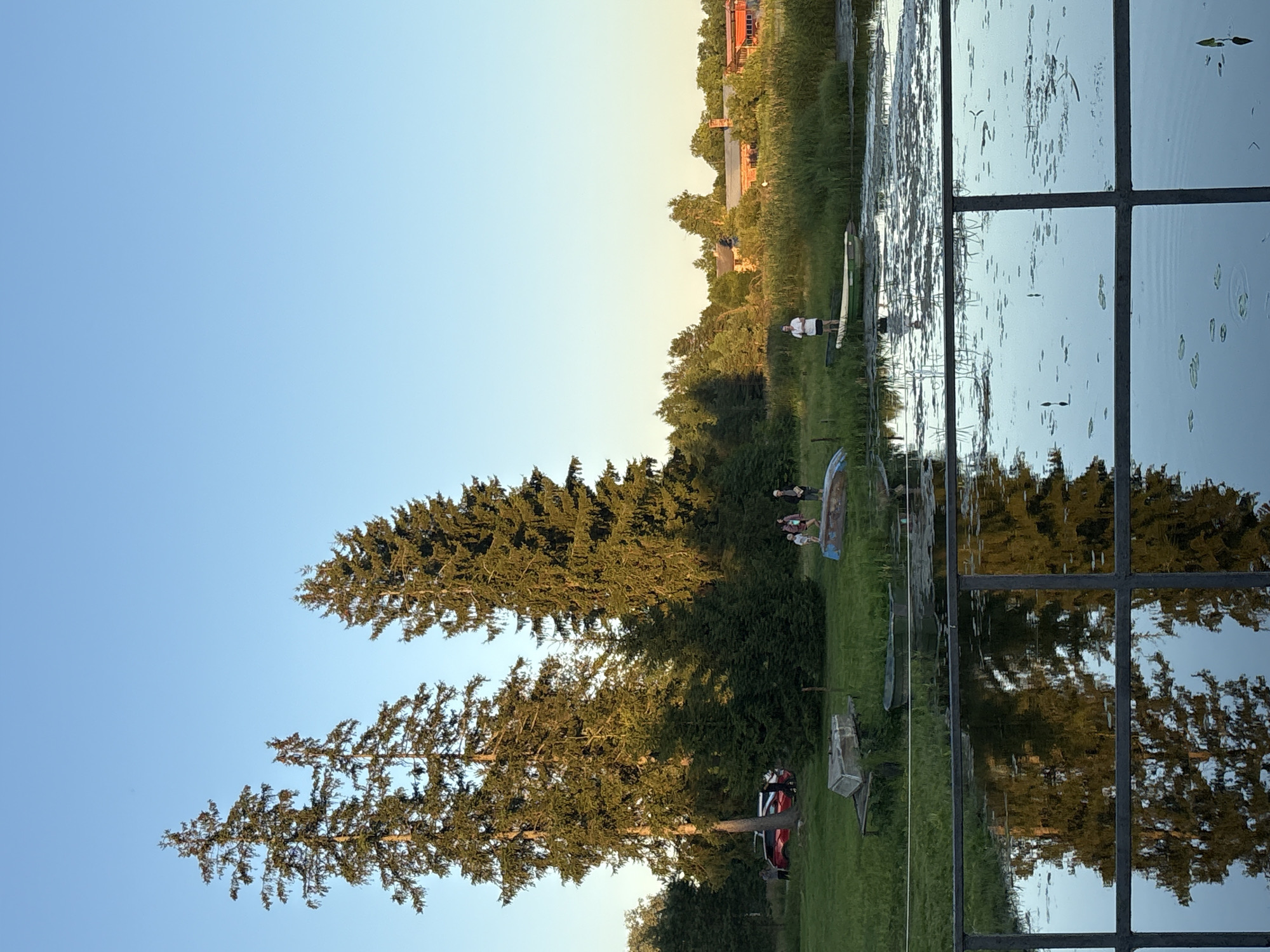 In Chikino, Russia, on a grassy area adjacent to a body of water, two tall evergreen trees stand prominently. A red car is parked on the grass. Several people are gathered near the car and on the grass. Further down the shoreline, a group of individuals, including children, are standing near some overturned boats. A woman is standing on the shore near a small boat. The water is calm and reflects the sky and surrounding trees. In the background, there are buildings and more trees. A dark metal railing runs across the foreground, with the reflection of trees visible in the water below.