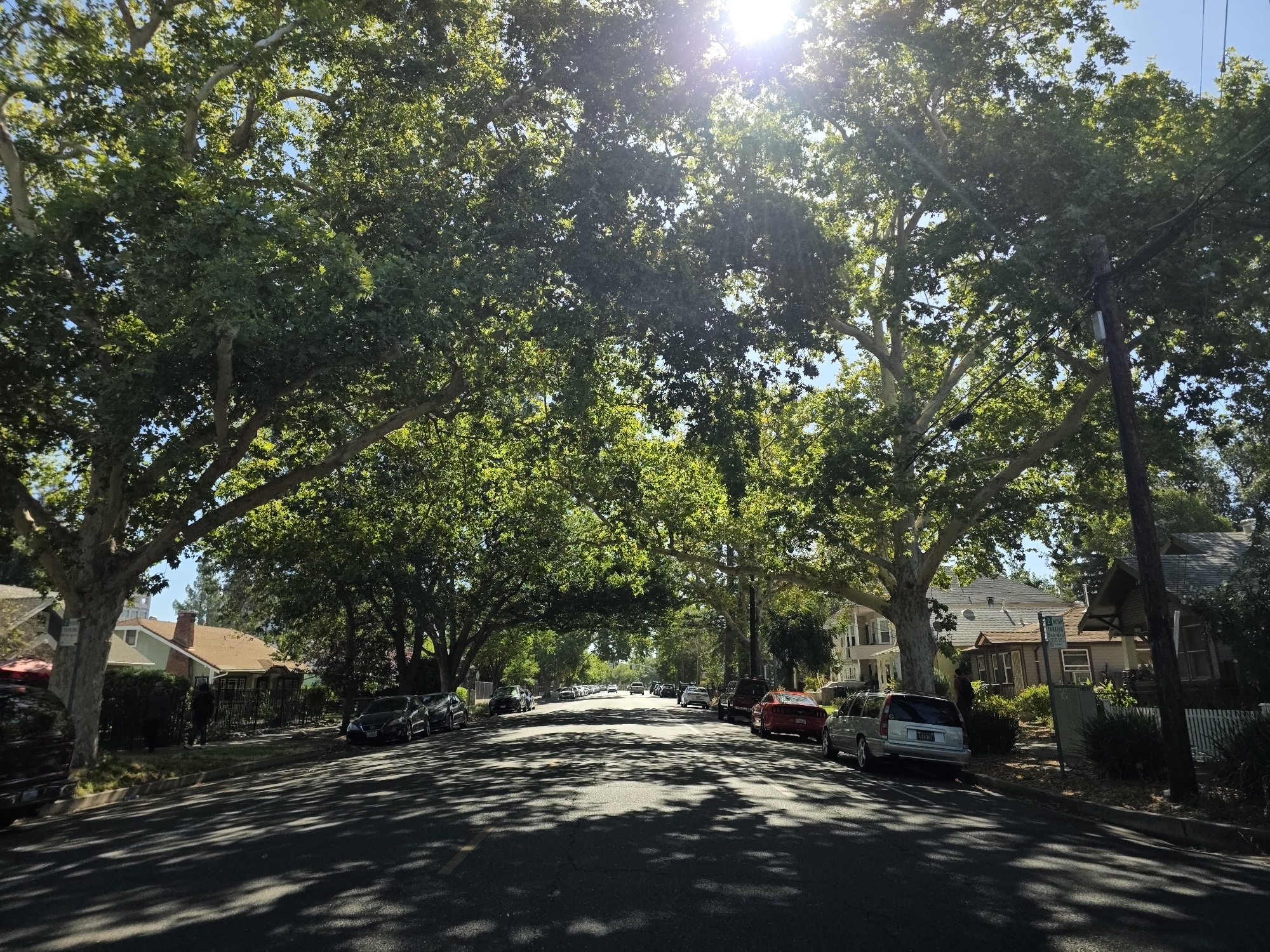 The image depicts a tree-lined street in Sacramento, California, under a bright, sunny sky. Large, mature trees with dense green foliage arch over the asphalt road, casting intricate shadows that dapple the pavement. Several parked cars are visible on both sides of the street, including a red sedan and a silver SUV. Houses with varying architectural styles line the residential street, some with visible rooftops and porches. A wooden utility pole with electrical wires is present on the right side of the frame. The overall scene suggests a peaceful, sunny day in a suburban neighborhood.