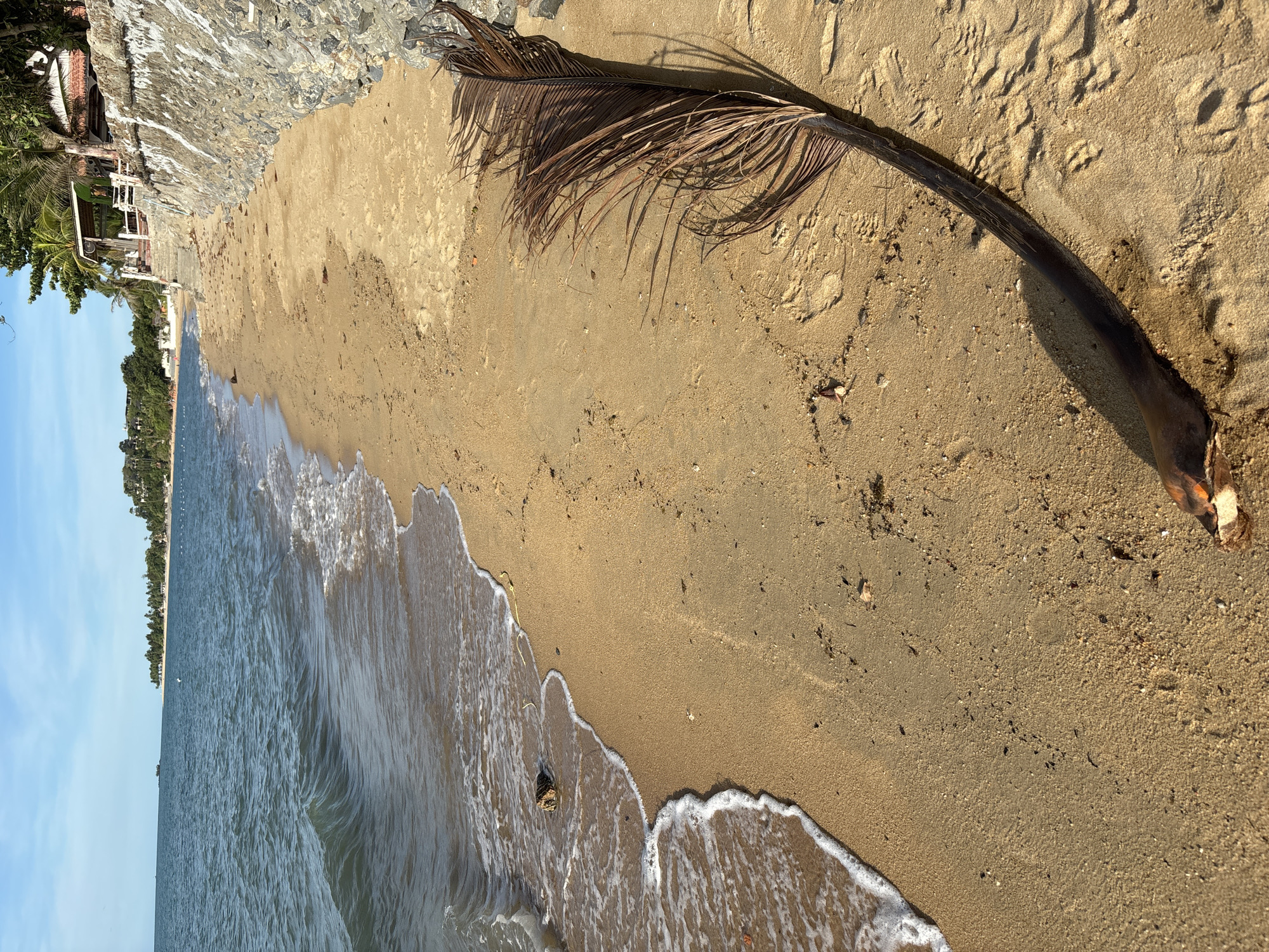 The image shows a beach scene in Baan Bo Phut, Thailand. A dry palm frond lies on the sand. Waves lap at the shoreline. A stone wall borders the beach on one side. Buildings and vegetation are visible in the background. The sky is blue.