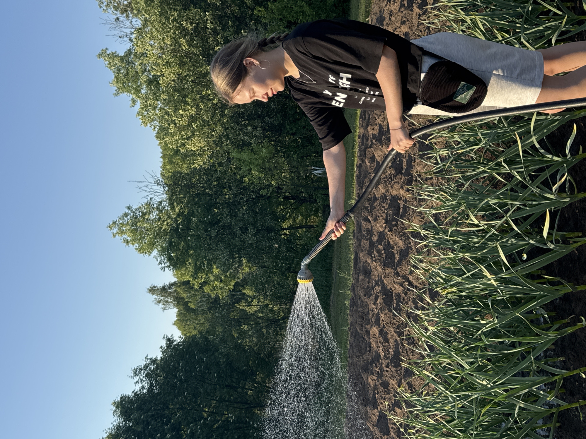 A woman is watering a garden. She is wearing a black t-shirt, grey shorts, and a black bag is slung over her shoulder. She is holding a garden hose with a yellow nozzle, spraying water over freshly tilled soil. Green plants line the edges of the garden bed. In the background, there are trees and a clear blue sky. The location is Zhigalki, Russia.