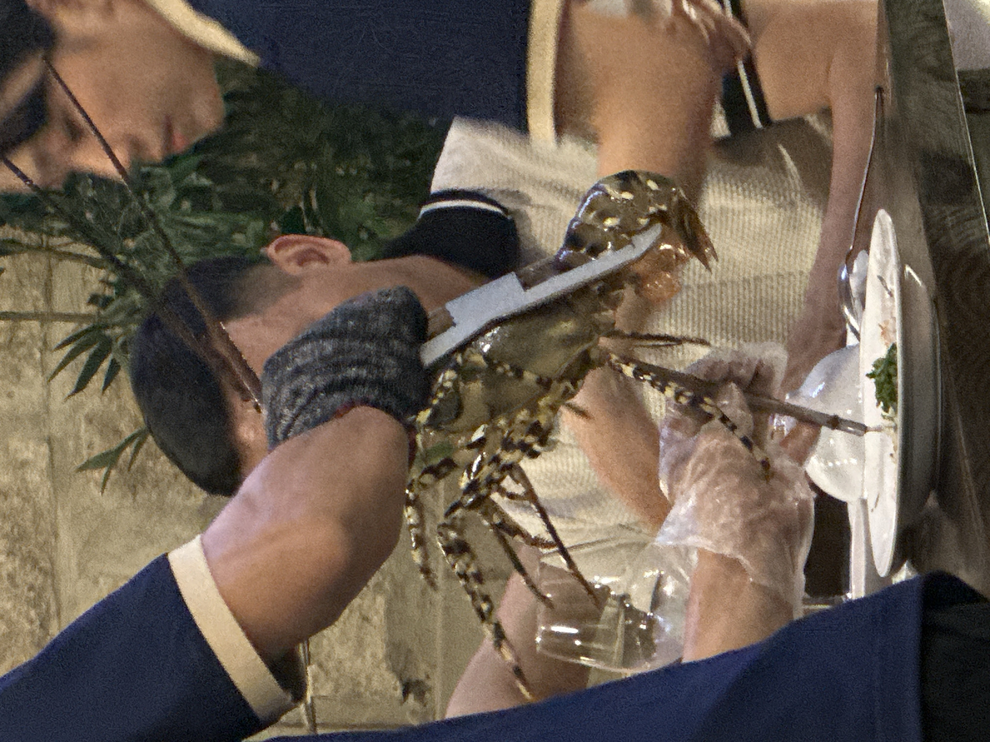 The image depicts a person cutting into a large lobster with a knife. The person is wearing gloves, one appears to be a grey knitted glove and the other a clear plastic glove. Another person can be seen looking on in the background. The lobster is being prepared over a plate. The location is Phu Thuy Ward, Vietnam.
