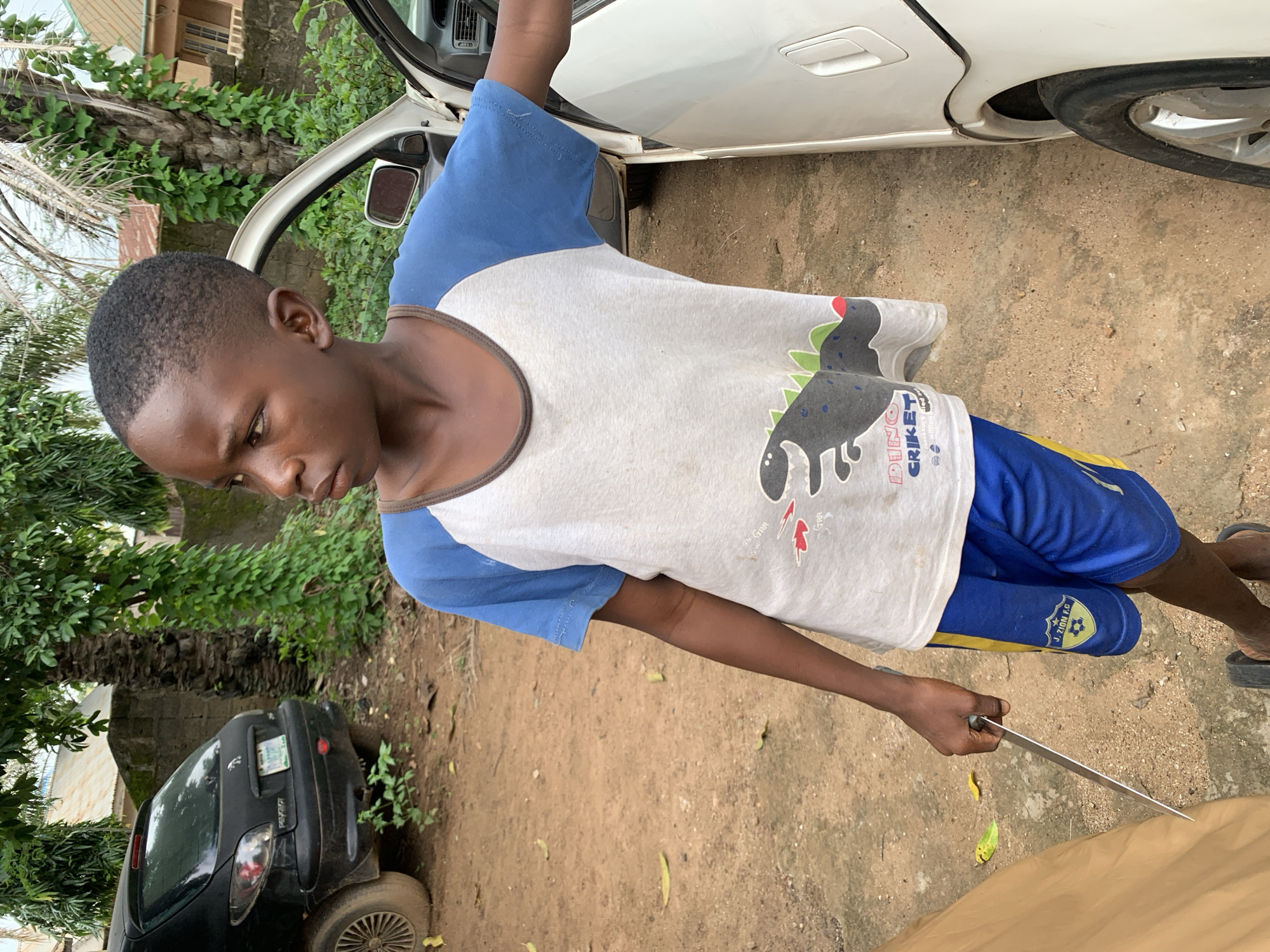 A young boy stands to the right of the frame, his body angled slightly away from the camera. He wears a light gray t-shirt with blue sleeves, featuring a graphic of a dinosaur and text that reads "DINO CRIKET." His blue shorts have yellow trim and a crest with a soccer ball and the letters "J. ZION F.C." He holds a large, silver knife in his right hand, the blade pointing downwards. His left hand rests on a tan object, possibly a mat or tarp, in the foreground.
Behind the boy, a white car is parked, its passenger door open. To the left of the boy, a black hatchback car is visible. The ground is covered in reddish-brown dirt with scattered dry leaves. Tall green trees and palm trees with exposed trunks form the background, along with a glimpse of a building with a red roof and cement walls. The overall setting appears to be an outdoor area, possibly a yard or street in Akwanga, Nigeria, given the context.