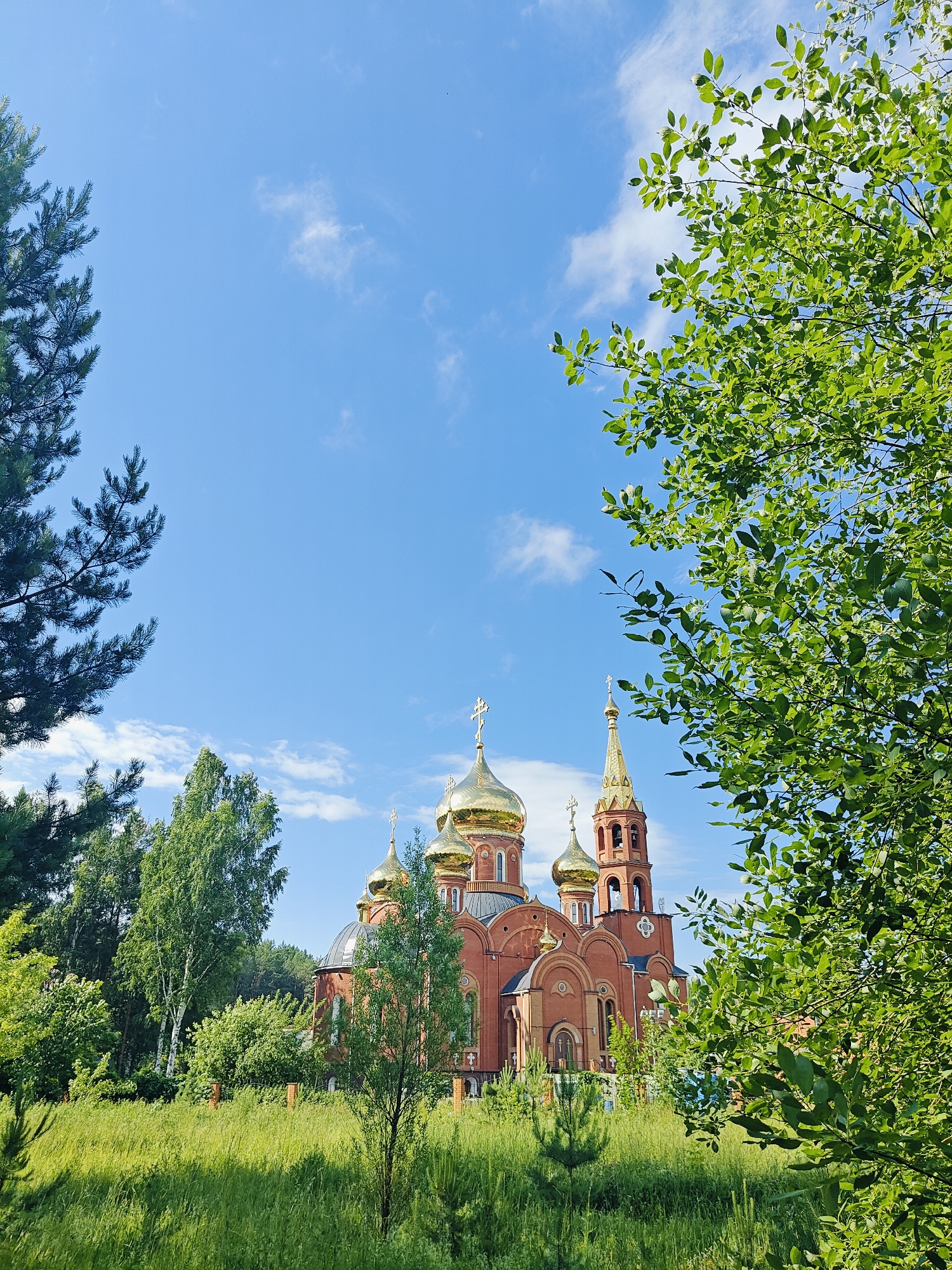 A large, red-brick Orthodox church with golden domes and a bell tower is situated in a lush green landscape under a bright blue sky with scattered white clouds. The church is framed by the branches of lush green trees and pine trees on either side of the foreground. The foreground is filled with tall, sun-drenched grass. The church appears to be located in a rural or semi-rural setting, possibly on the outskirts of the city of Chaikovsky, Russia, as indicated by its architectural style which is common for Russian Orthodox churches. There are no people visible in the image. The overall scene is peaceful and serene, showcasing a beautiful piece of architecture set against a natural backdrop.