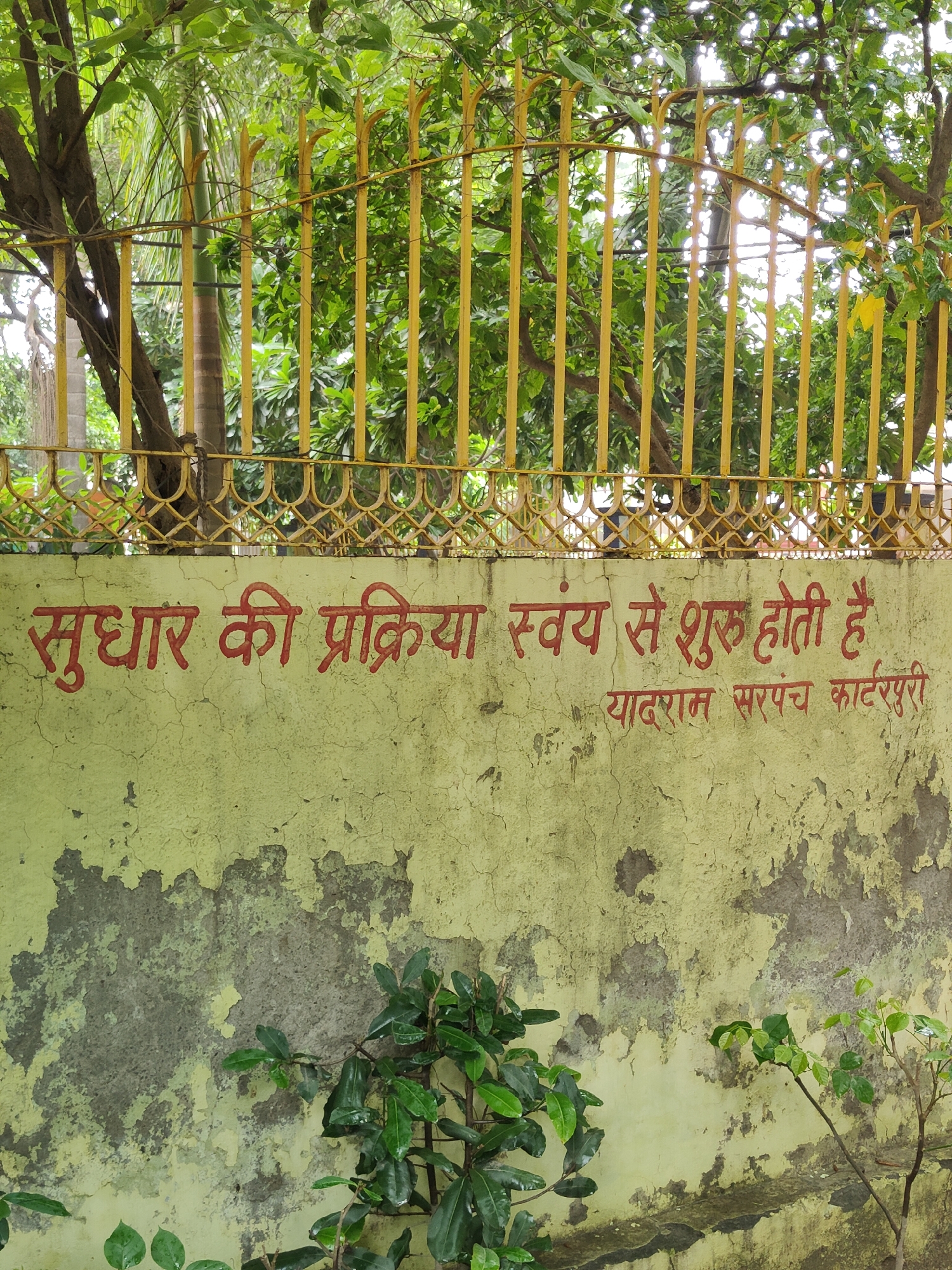 The image shows a weathered, pale yellow wall with red Hindi text painted on it. The text reads "सुधार की प्रक्रिया स्वयं से शुरू होती है" which translates to "The process of improvement starts from oneself." Below this, in smaller text, it says "यादराम सरपंच काटरपुरी" which is likely the name of the sarpanch (village head) and the village name. The wall appears to be outdoors, with a yellow metal fence with decorative elements visible at the top. Lush green trees and foliage are seen behind the fence, suggesting a natural or park-like setting. The wall has patches of peeling paint and a somewhat rough texture. Some small green plants are growing at the base of the wall. The overall scene gives the impression of a public space in a rural or semi-urban area. Given the context of the text and the sarpanch's name, this could be a community notice or motivational message displayed in a village in Gurgaon, India.