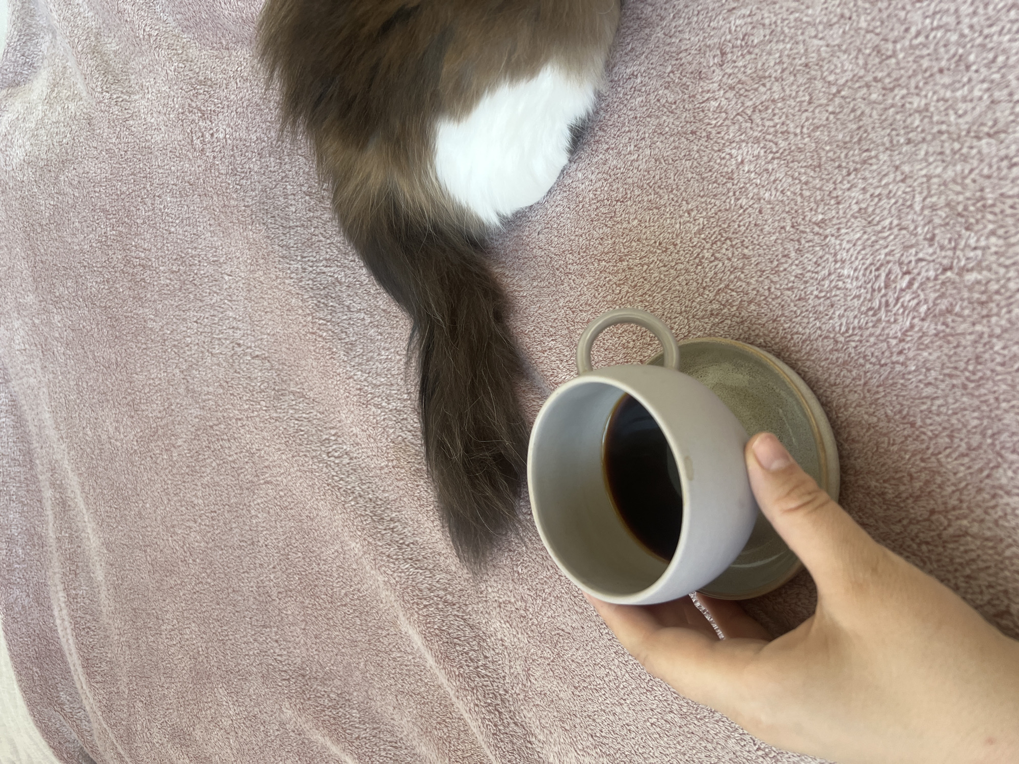 A hand holds a light gray mug filled with dark coffee, which rests on a matching saucer. The items are positioned on a soft, pink, textured blanket. To the right of the mug, the lower back and tail of a brown and white cat are visible, also resting on the blanket. The scene is indoors, likely in a domestic setting.