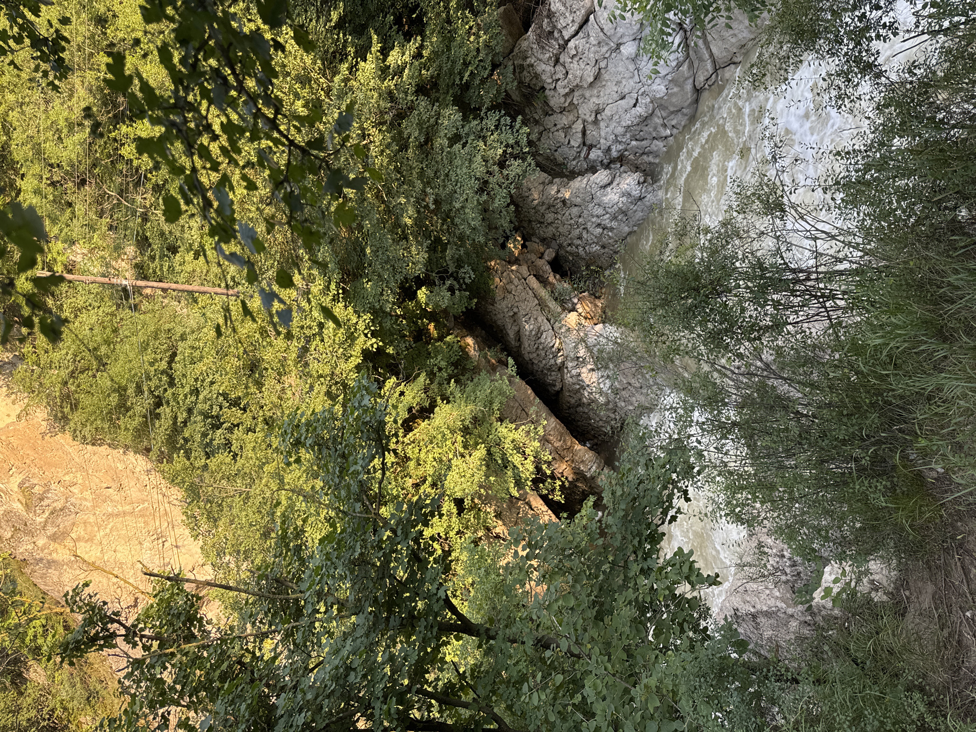 This is a high-angle, vertical shot of a narrow gorge in Khanag, Russia, with a turbulent river flowing through it. The gorge is carved into a rocky cliff face, with lush green trees and foliage growing on its upper edges and sides. The river, appearing muddy and fast-moving, churns over rocks, creating white foam. Sunlight illuminates the scene, casting shadows and highlighting the textures of the rocks and leaves. A single wooden utility pole with wires is visible among the trees on the right side of the frame. The foreground features dense green undergrowth and grasses, obscuring the ground.