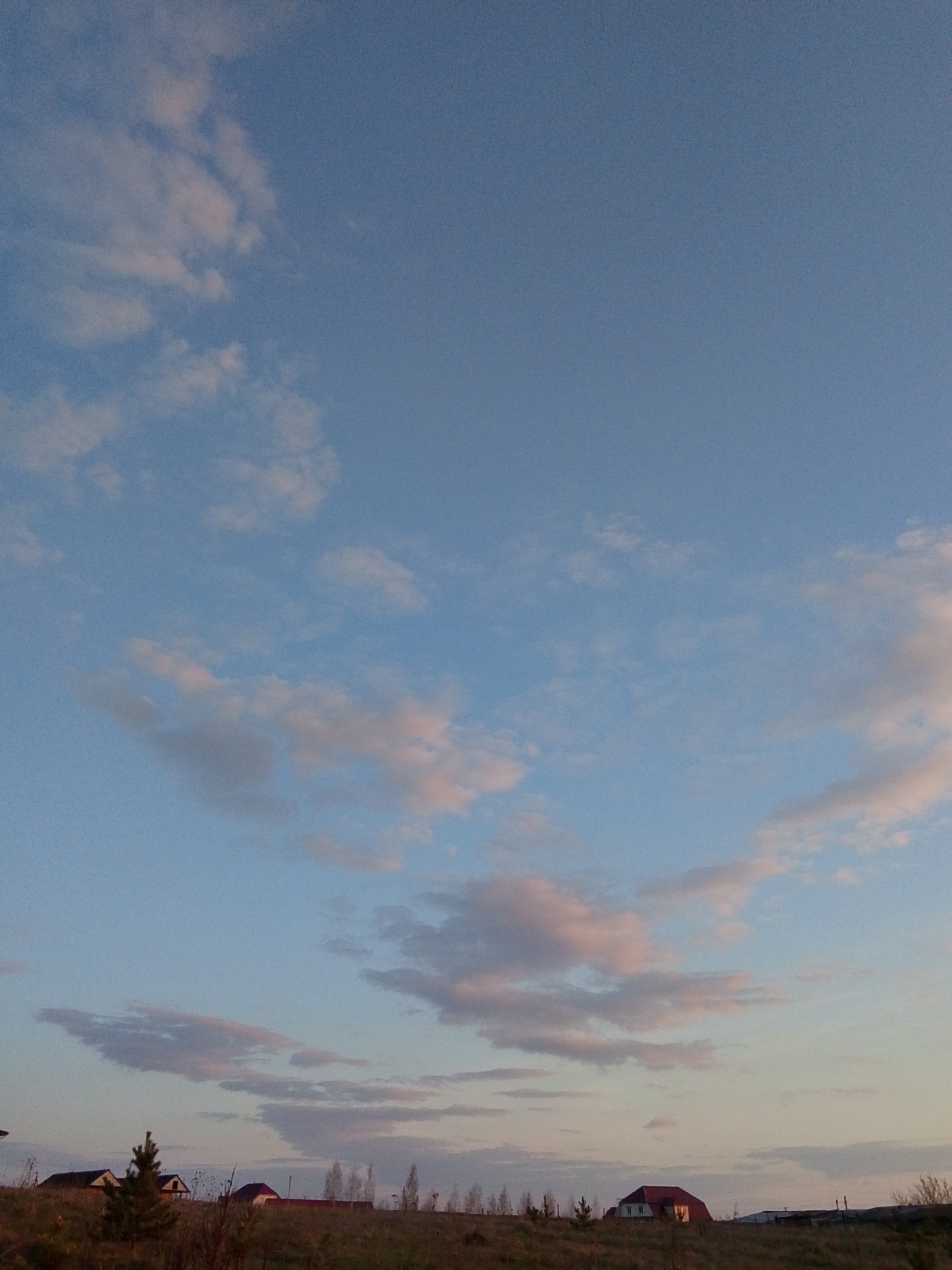 The image displays an expansive outdoor landscape scene, likely captured during either sunrise or sunset, in Khlevnoye, Russia. The vast majority of the frame is dominated by the sky, which transitions from a clear, deep blue at the top to lighter hues of blue, soft pink, and subtle grey-orange near the horizon.
Scattered across the sky are numerous wispy and elongated clouds. These clouds exhibit delicate pink and grey tones, particularly those closer to the horizon, illuminated by the indirect light of the sun. The lower portion of the image shows a distant, low-lying horizon separating the sky from the land.
The land appears to be an open field or plain, covered in dry, light brown vegetation, suggesting a season such as late autumn or early spring. Several objects dot the distant horizon: a small conifer tree is visible on the left side of the land, and further back, numerous slender, bare trees or bushes are scattered. Several small houses or buildings are also visible, including one prominent house on the right with a distinctive dark red roof. Another building with a dark roof is seen on the left.
The scene is tranquil and quiet, devoid of any visible human activity or individuals. The soft, natural lighting creates a peaceful atmosphere. There is no visible text in the image.