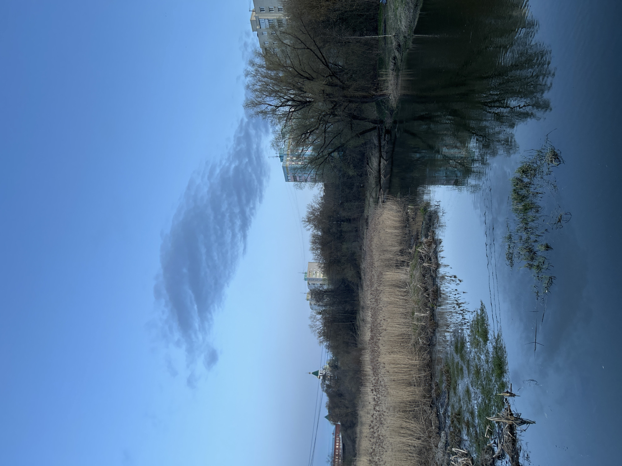 The image captures a serene landscape scene, likely in Klin, Russia, dominated by a clear blue sky and a calm body of water. The photograph is taken from a perspective overlooking a river or canal.
In the upper portion of the frame, a wide expanse of bright blue sky is visible, with a single, distinctive elongated cloud formation, greyish-white in color, stretching horizontally across the left side. A few very faint, wispy clouds can be discerned elsewhere in the sky.
Mid-ground features a strip of land along the water's edge. A dense line of bare, leafless trees, typical of late winter or early spring, runs horizontally across the scene. Behind these trees, several multi-story residential buildings with various architectural styles are visible, some light-colored and some darker. Towards the right, a small church building with a distinctive green dome and a golden spire can be seen peeking out from behind the trees. The foreground on the land side consists of patches of dry, tall grass or reeds.
The lower part of the image is filled by the still water, which acts as a reflective surface. It clearly mirrors the sky, the trees, and the buildings, though the reflections are slightly distorted by gentle ripples. Scattered patches of submerged or partially submerged aquatic vegetation are visible within the water.
The lighting suggests either late afternoon or early evening, creating a somewhat cool and tranquil atmosphere. There are no people visible, and no specific activity or event is taking place, presenting a quiet, static view of nature and urban edge. No visible text is present in the image.