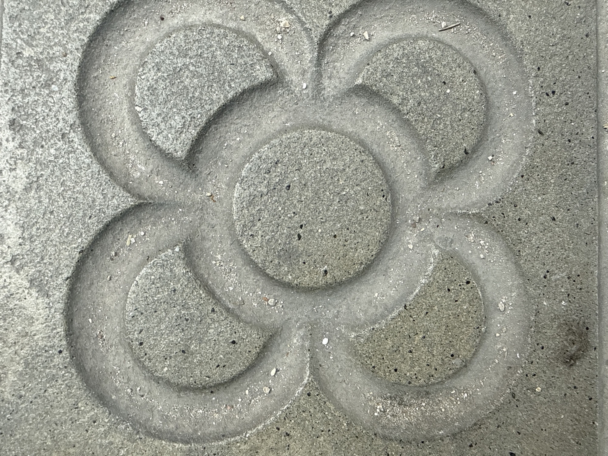 This is a close-up, overhead shot of the iconic "Flower of Barcelona" pavement tile, a design by Josep Puig i Cadafalch. The tile is made of grey concrete, textured with small dark and light aggregate. The raised relief of the flower pattern is clearly visible, with a central circle surrounded by four petal-like shapes, each formed by two interlocking rings. The edges of the raised design are slightly rounded and appear worn, suggesting it is a surface meant for pedestrian traffic. The lighting highlights the texture of the concrete and the subtle variations in the relief. The image captures the detail of the iconic tile without any surrounding context, focusing solely on its design and material. This specific design is found throughout the city of Barcelona, Spain, notably in areas like Passeig de Gràcia and the Gothic Quarter.