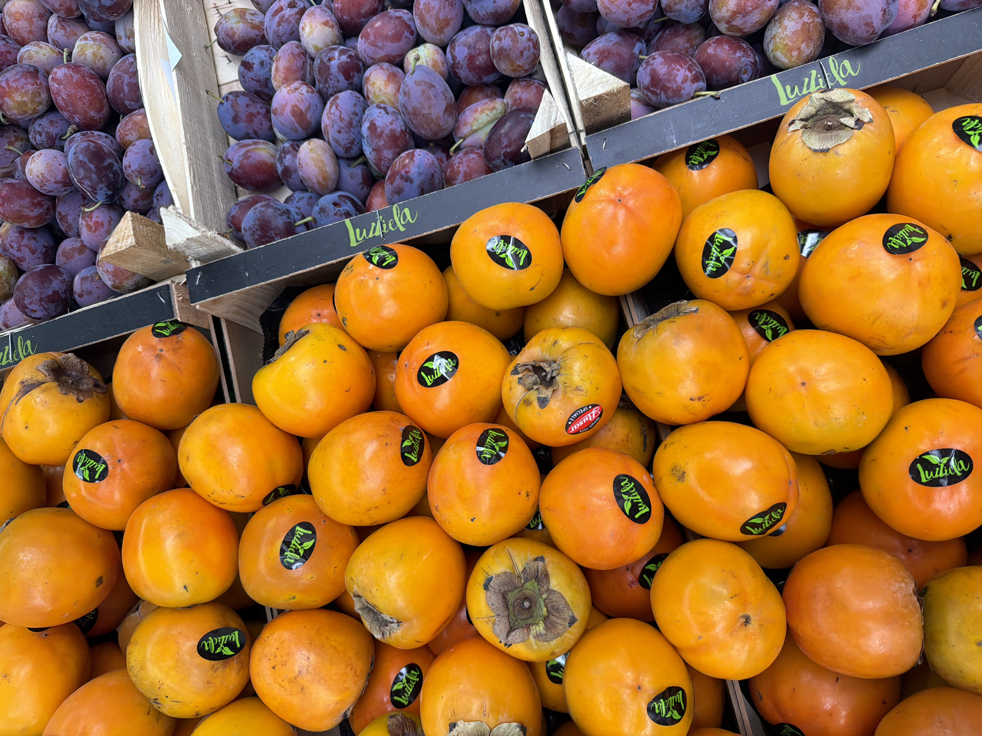 This is a close-up, top-down shot of a fruit stand in Witten, Germany. The foreground is filled with ripe persimmons, a vibrant orange hue dominating the frame. They are stacked in wooden crates, many bearing green and black "Luzilda" stickers. Behind the persimmons, plums are visible, a deep purple color, also in wooden crates. The lighting appears to be natural, casting soft shadows and highlighting the textures of the fruits. The scene is clean and orderly, suggesting a well-maintained market stall. There are no people visible in the image.