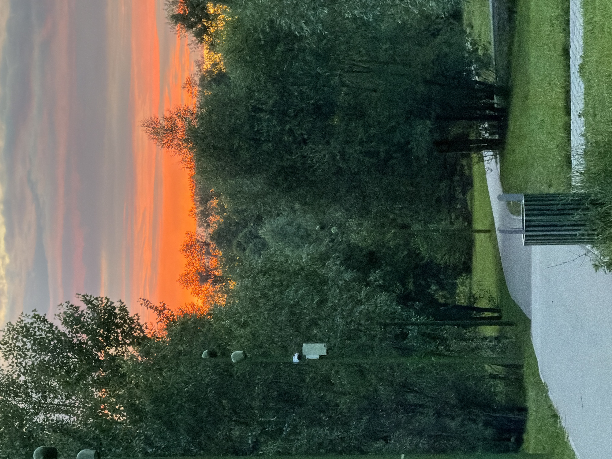 The image depicts a park scene at sunset in Kazan, Russia. A winding paved path cuts through lush green grass and is flanked by dense trees. The sky above is a vibrant gradient of orange and pink, indicative of the setting sun, with scattered clouds. A tall, dark green lamppost with multiple fixtures stands prominently to the left of the path. In the foreground, a cylindrical trash bin with a dark green ribbed pattern is visible next to the path. The overall impression is one of a tranquil evening in an urban park.