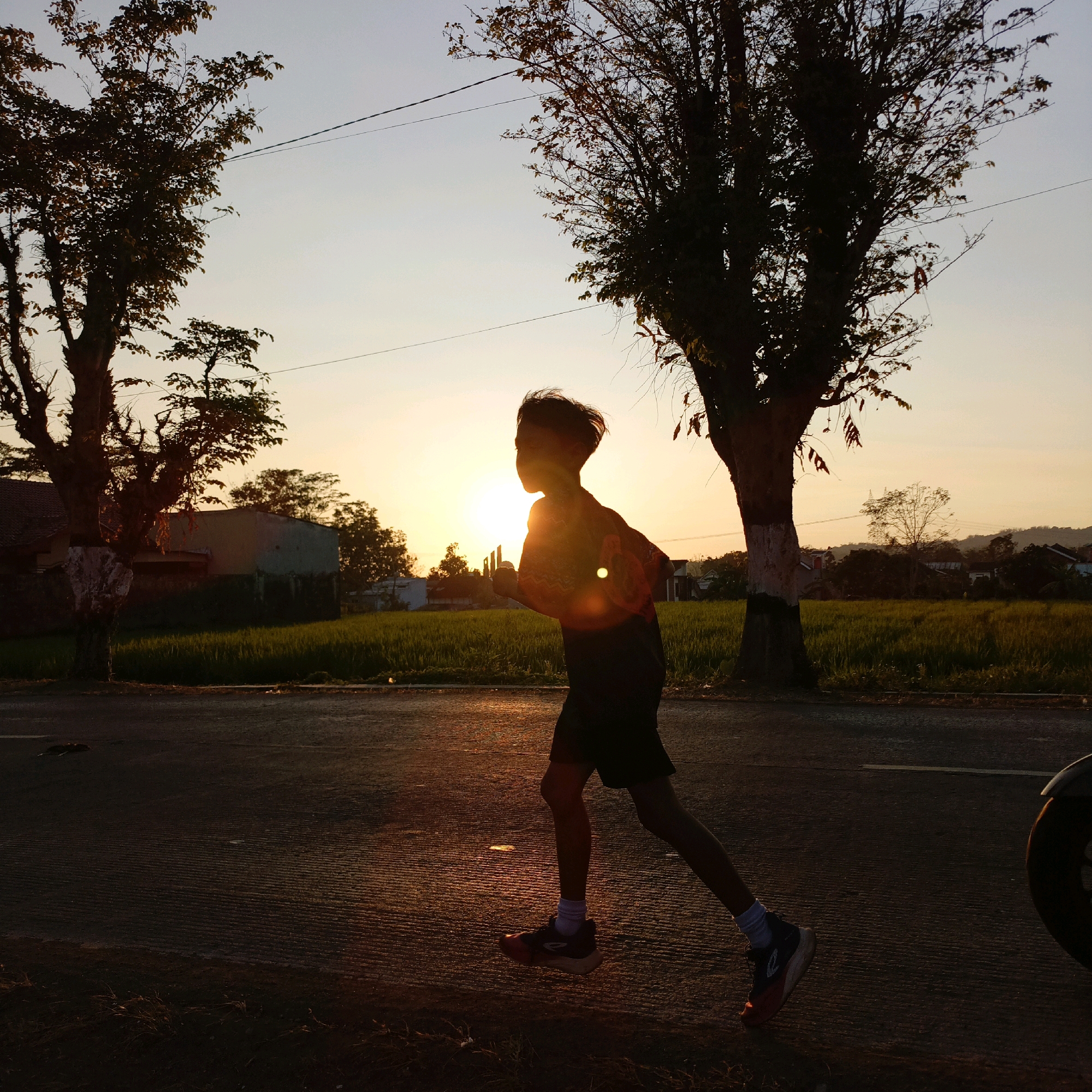 A silhouette of a young person is captured mid-stride while running on a paved surface, likely a road, during what appears to be sunset or sunrise. The setting sun casts a warm glow across the scene, creating lens flares and illuminating the surroundings. The runner is wearing shorts, a t-shirt, and athletic shoes. The background features lush green fields, trees, and hints of buildings, suggesting a rural or semi-urban environment. Two distinct trees, silhouetted against the sky, frame the runner. Power lines are visible stretching across the sky. The ground is textured with parallel lines, possibly indicating a road surface or agricultural field. The overall atmosphere is serene and active, with the warm light adding a dynamic quality to the image.