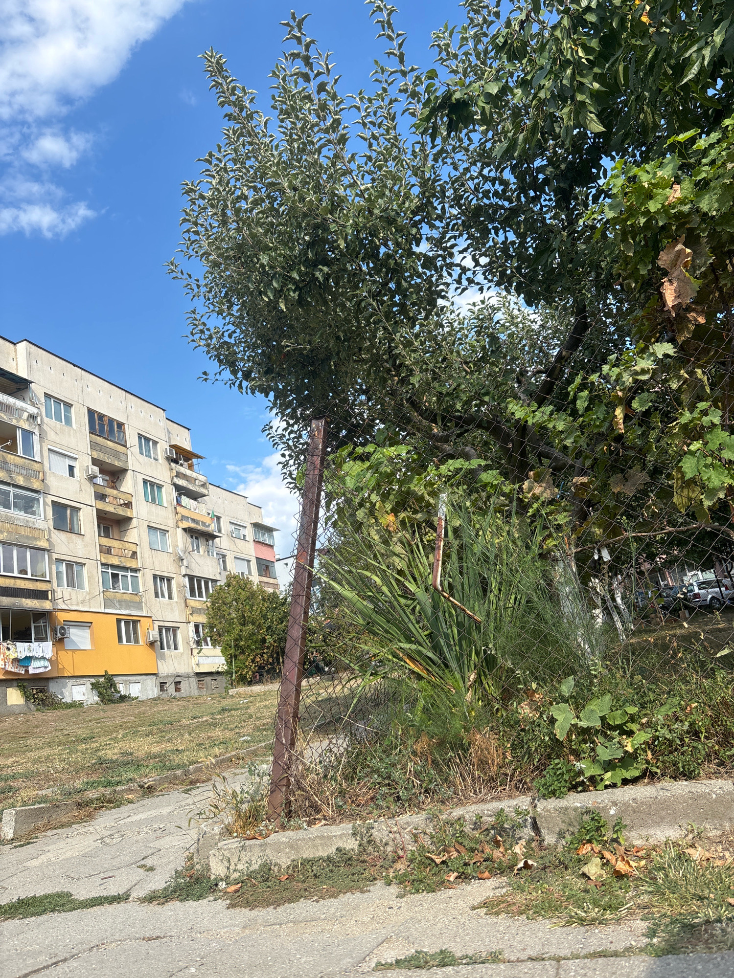 The image captures a view of a residential building and surrounding greenery in Blagoevgrad, Bulgaria. The building is a multi-story apartment complex, likely Soviet-era architecture, with a light-colored facade and yellow accents on the lower levels. Several balconies with visible laundry and air conditioning units are present. The foreground features a sloping concrete pathway and an overgrown grassy area. A wire mesh fence runs across the middle of the image, partially obscuring a dense cluster of trees and vegetation. Several cars are visible parked in the background, beyond the fence. The sky is bright blue with scattered white clouds.