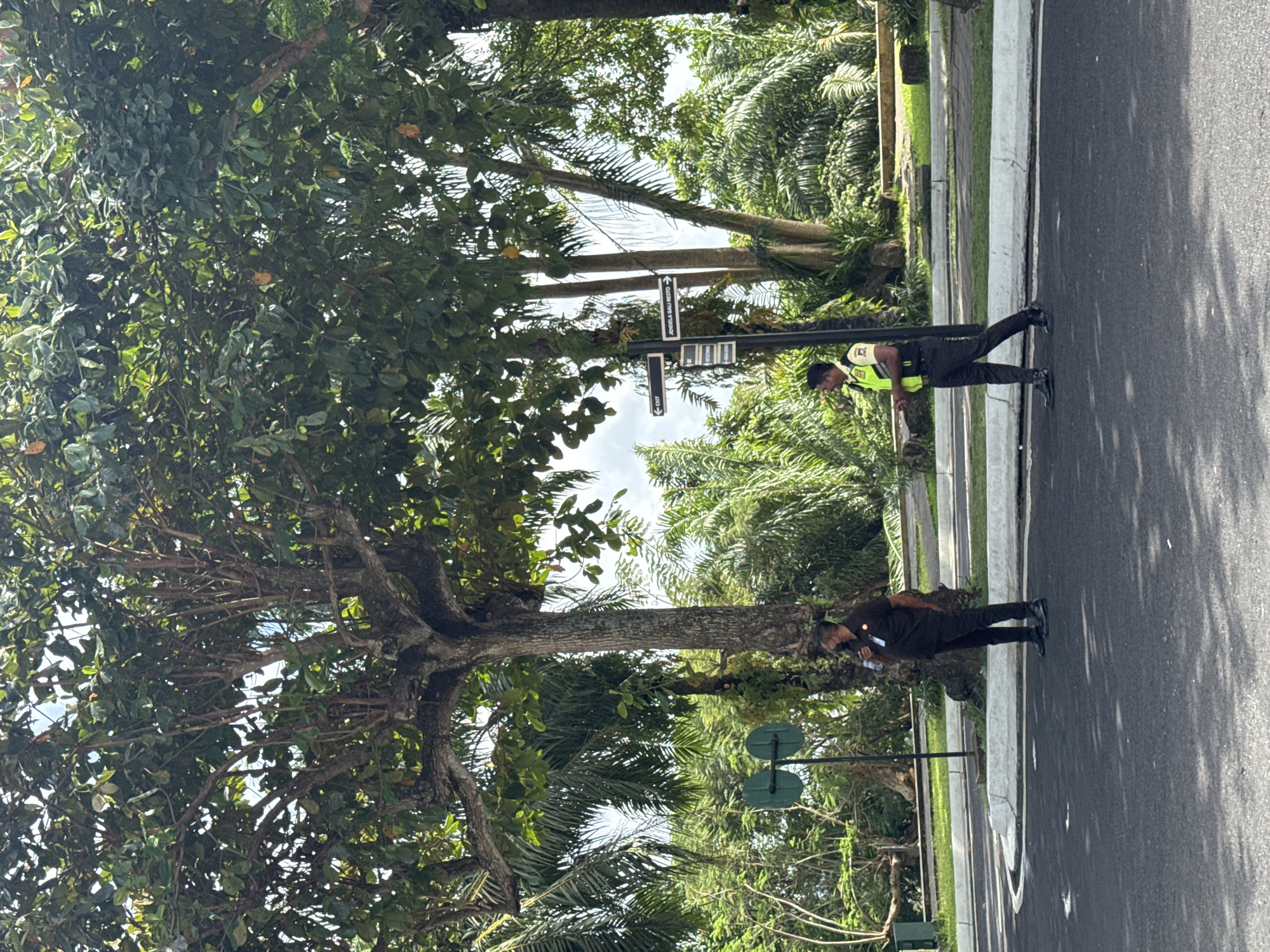 A man in a black uniform and reflective vest stands on the asphalt of a Kuta Selatan, Indonesia street next to a street sign reading "Jendela Bali Resto". He appears to be giving direction to another man in a similar uniform who is standing on the other side of the street. The area is heavily vegetated.