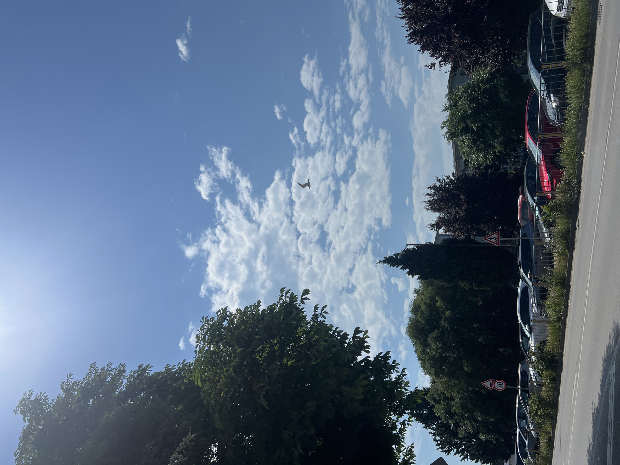 This daytime image, set in Varna, Bulgaria, features a bright blue sky filled with numerous scattered white cumulus clouds. A small, light-colored airplane is prominently visible in the upper central portion of the sky, flying horizontally. A distinct sun flare emanates from the upper left corner, indicating a sunny day.
The lower section of the frame is characterized by lush green foliage from various trees, some with dense deciduous leaves and others appearing coniferous, extending across the bottom and right side. To the right, a paved road runs vertically, alongside which a row of cars is parked. These cars are seen behind a low metal fence or barrier, with several dark-colored vehicles and one red car visible.
Two traffic signs are present: a triangular warning sign with a red border and a black exclamation mark, and a circular speed limit sign with a red border displaying the number "30" in black. The scene captures a peaceful, sunny day in what appears to be an urban or suburban environment.