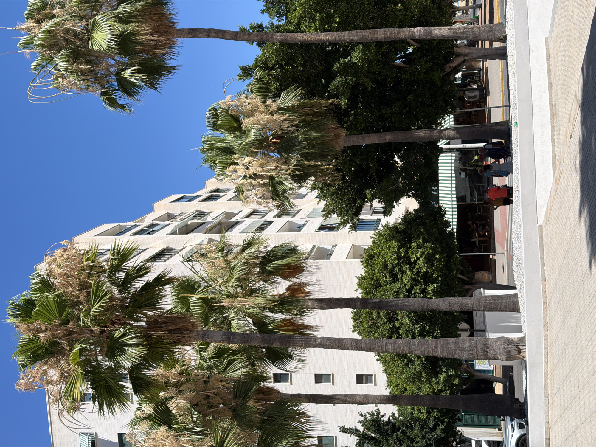 In La Vila Joiosa, Spain, a street scene unfolds under a clear blue sky with several tall palm trees dominating the foreground. A multi-story building with a light-colored facade and numerous windows is visible behind the trees. The building has striped awnings over some windows. In the mid-ground, a row of businesses with green and white striped awnings are set back from the street. One business has the letters "B" visible on its awning. Several people are gathered in front of this row of businesses, some standing in small groups. A white car is parked to the left of the scene. The ground is paved with interlocking bricks. Lush green trees are interspersed with the palm trees and line the street in front of the buildings.