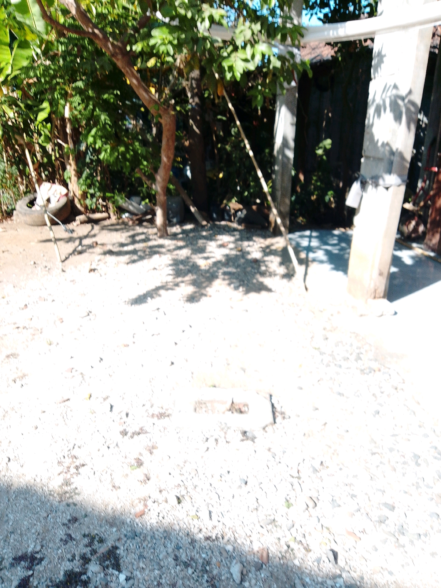The image depicts an outdoor scene in Cikal, Indonesia, characterized by a rough, gravelly ground surface with scattered debris and shadows cast from overhead foliage. The environment appears somewhat unkempt. Prominent elements include a weathered tire lying on its side near some vegetation on the left side of the frame. A thin, light-colored pole or stick is propped in the ground, also on the left. Two large, unfinished concrete pillars stand vertically in the background, with one positioned more centrally and the other to the right. One of these pillars has dark tape wrapped around its base. Dense green foliage and tree branches with visible leaves dominate the upper left portion of the image, suggesting a natural or semi-cultivated setting. The overall lighting suggests a bright day with sunlight filtering through the trees, creating dappled shadows on the ground. The background hints at structures, possibly a building with a dark, textured surface and a roofline. The scene conveys a sense of a simple, possibly rural or undeveloped area.