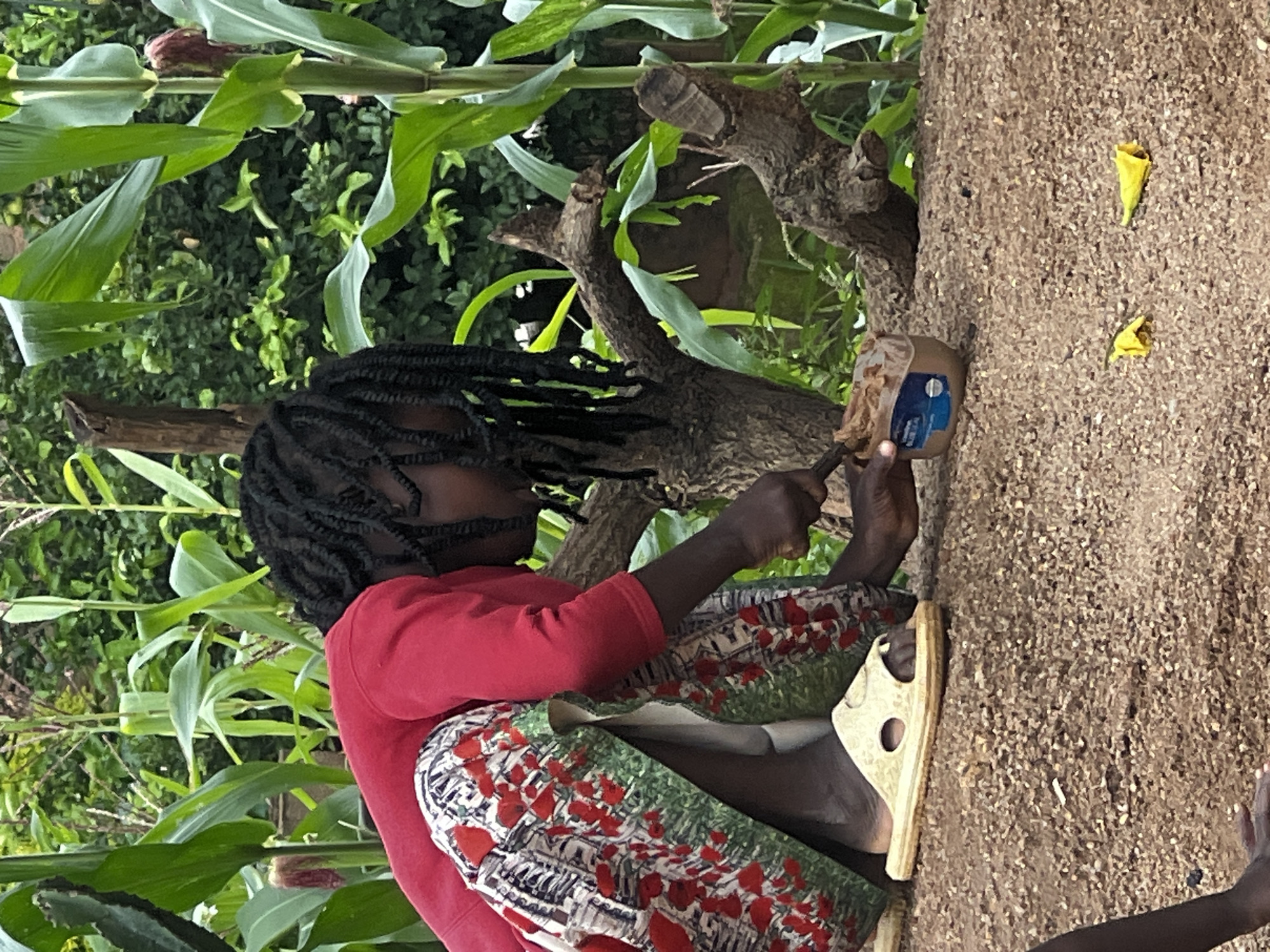A side view, medium shot, captures a young Black female, with dark braided hair, squatting next to a container of food while surrounded by corn stalks in what appears to be a rural outdoor setting. She is wearing a red long-sleeved shirt and a patterned skirt with red flowers. Her left foot is adorned with a cream-colored sandal. She is using a spoon to scoop food from the container. The ground is covered in gravel, with two yellow flowers visible in the foreground. The background is filled with lush green foliage and corn plants. The scene suggests a moment of everyday life, possibly a mealtime in a village or agricultural area.