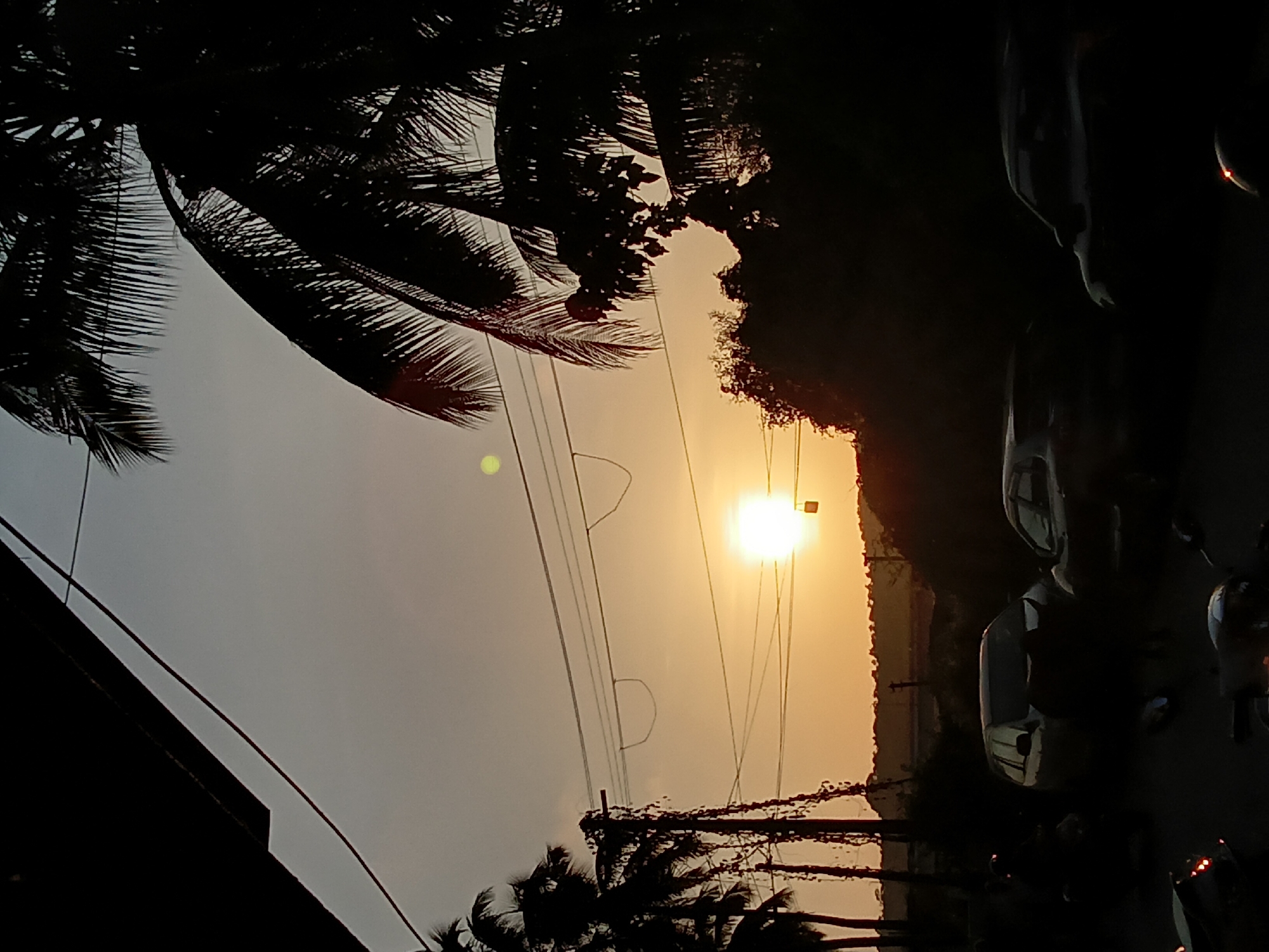 The image depicts a sunset scene in Oxel, India. Silhouetted palm trees frame the top and bottom of the image, contrasting with the bright sun in the center. Overhead power lines crisscross the sky. On the right side, parked vehicles are partially visible. The environment is a typical urban street scene in India during the sunset hour. No people are visible in the image.