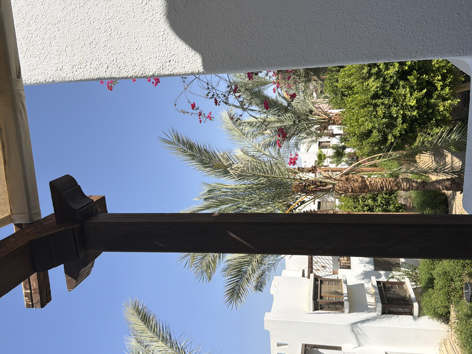 The image depicts a view from a shaded patio or balcony area, looking out towards a bright blue sky and a courtyard setting in Sharm El Sheikh, Egypt. In the foreground, a dark wooden pillar and overhead beam partially obstruct the view, casting a shadow on the textured white wall to the right. Beyond the structures, palm trees with feathery fronds are visible, some adorned with vibrant pink bougainvillea flowers climbing over them. In the background, a white building with traditional wooden-framed windows and balconies is set against lush green bushes and pathways. The scene suggests a resort or residential area characterized by its white architecture, tropical vegetation, and clear, sunny weather typical of the Egyptian coast.