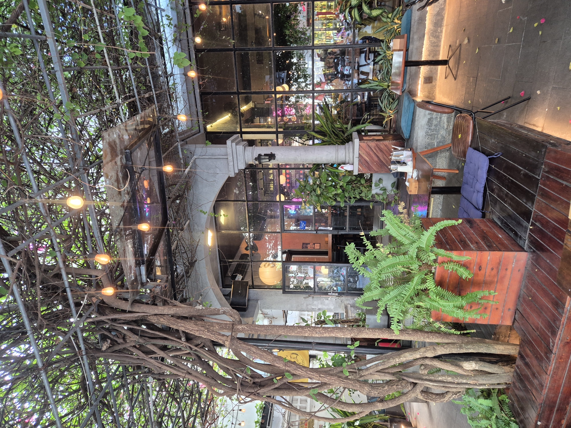 The image depicts the exterior of a cafe in Đà Nẵng, Vietnam, characterized by its outdoor seating area. The cafe features a prominent structure with a metal frame covered in dense vines and foliage, creating a natural canopy. Several Edison-style light bulbs hang from the frame, illuminating the space. A large glass-paned entrance leads into the cafe, offering a view of the interior with seating, plants, and neon signage.
In the foreground, a wooden bench is partially visible, accompanied by a wooden planter box filled with lush green ferns. Adjacent to the bench are two tables. One table, positioned to the left, is set with a coffee pot, a cup, and a sugar dispenser. Another table, a smaller, dark-topped bistro table, stands to the right, with a single chair next to it. The ground is paved with stone tiles, and a few fallen petals are scattered on the surface. The overall ambiance suggests a cozy and inviting outdoor dining or seating area.