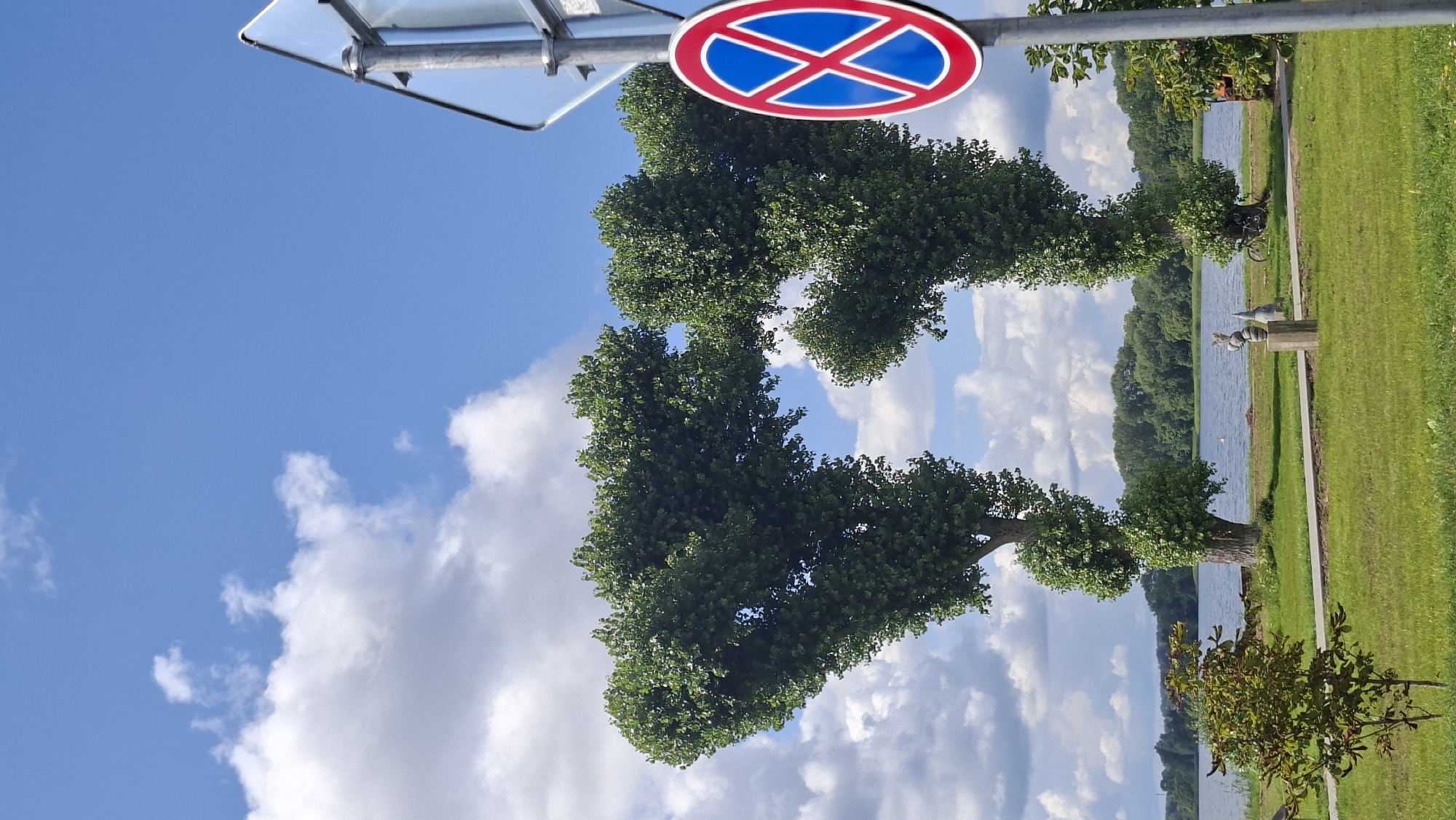 The image shows a park-like setting with two distinct trees in the foreground that have been pruned into an unusual, almost heart-like shape. The trees are lush green and are positioned near a body of water, which appears to be a lake or river. In the background, there is a treeline and a clear blue sky with scattered white clouds. To the right of the trees, a traffic sign with a red circle and blue background with a red "X" symbol is visible, indicating a parking prohibition. The ground is covered in green grass, and a paved walkway runs between the trees and the water. There are a few small decorative sculptures on a pedestal near the walkway. The overall scene suggests a public recreational area on a sunny day.
