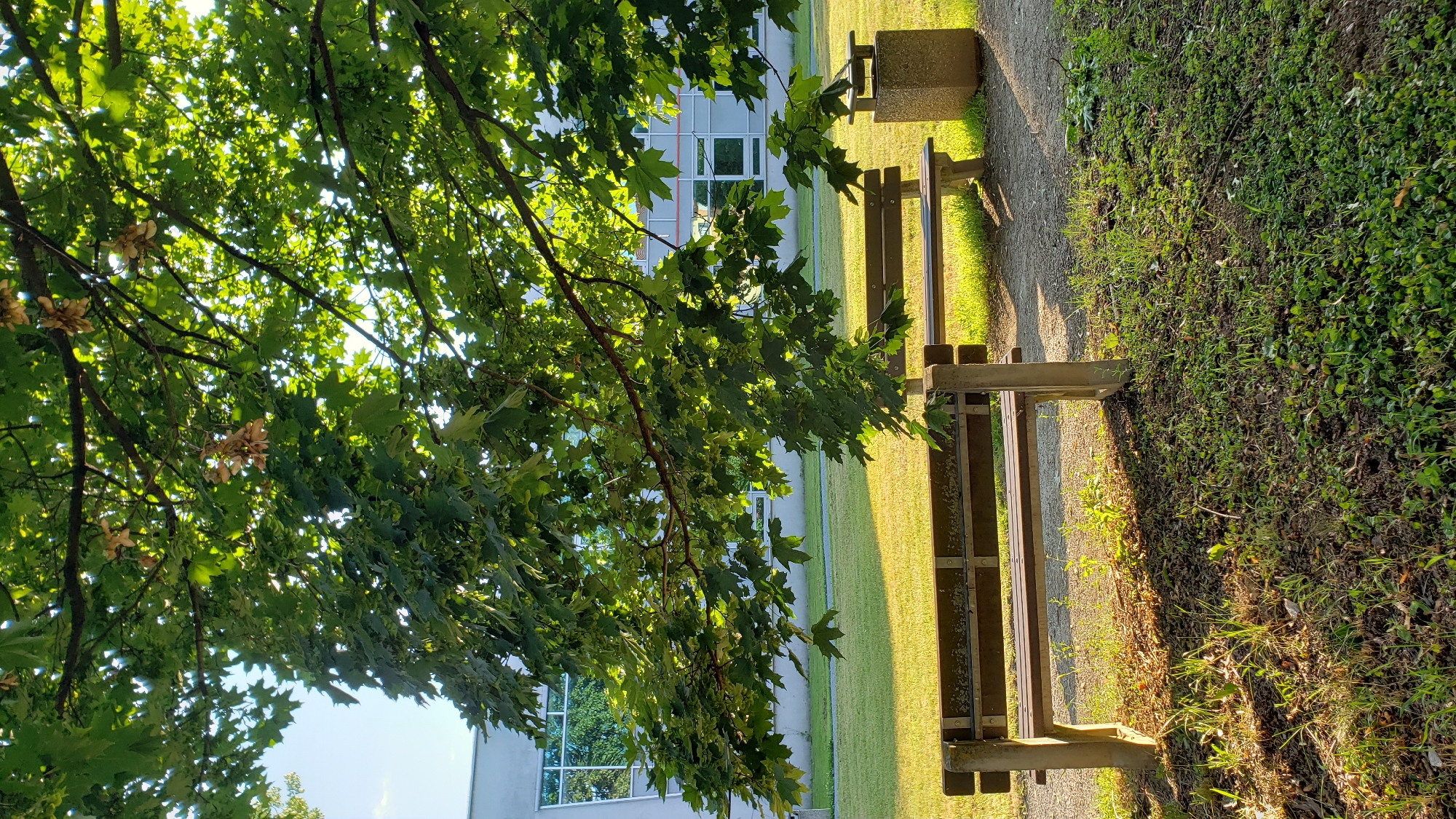 A park bench and a trash receptacle are situated in front of a grassy lawn and a building. The scene is illuminated by sunlight filtering through the leaves of a tree. The park bench is made of wood and concrete, and the trash receptacle is made of concrete. The building appears to be a modern structure with large windows. The image was taken in Prešov, Slovakia.