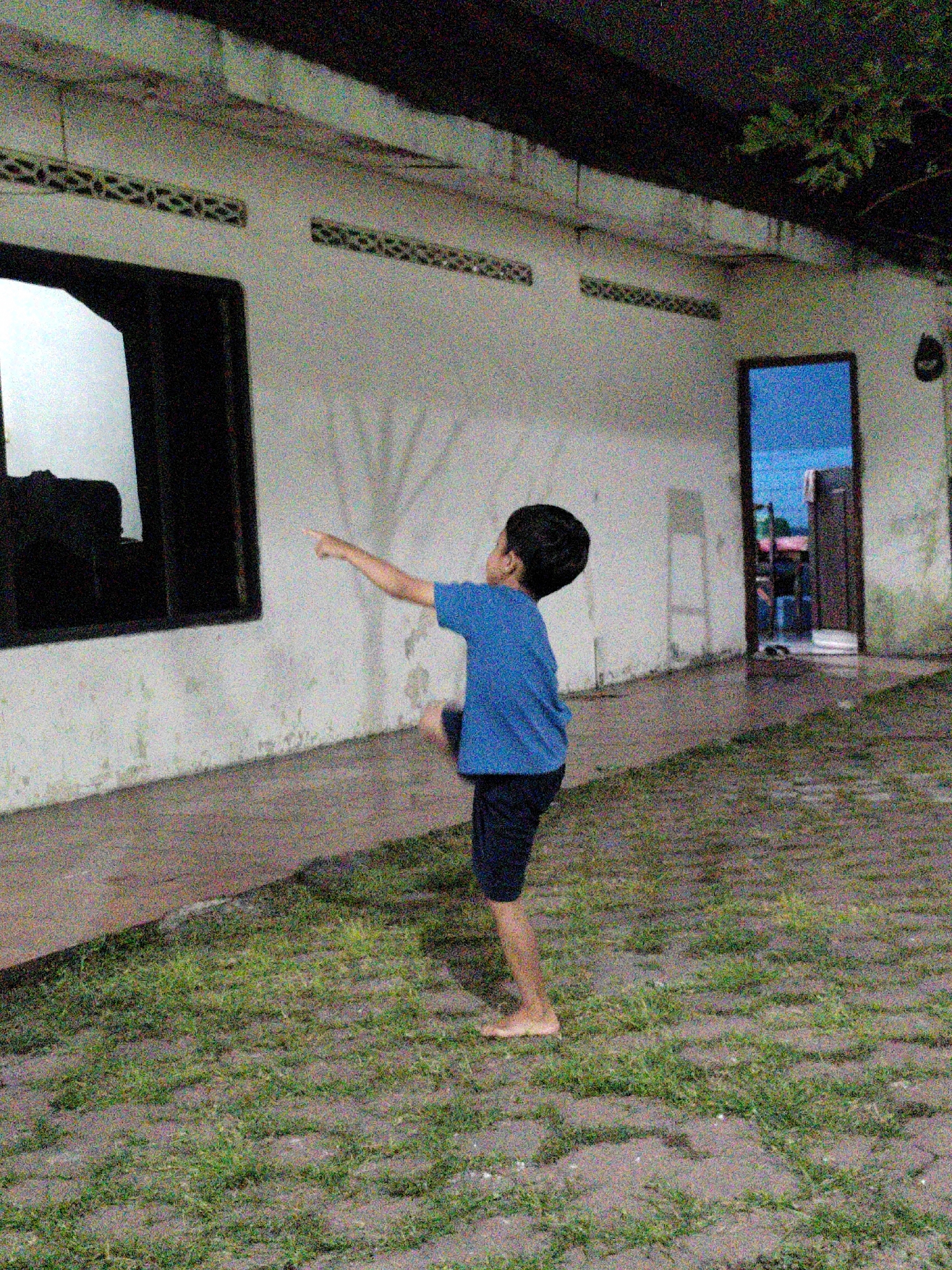 A young boy wearing a blue t-shirt and dark shorts stands on a patch of grass in front of a white building. He is barefoot and pointing to the left with his right hand. His left leg is bent at the knee, and his body is angled towards the building. The building has a dark-tinted window on the left and a doorway on the right, through which another room is visible. The ground in front of the building is paved with interlocking bricks, and grass is growing in between them. The scene appears to be outdoors, possibly in a residential or public area in Watesnegoro, Indonesia, given the architecture and vegetation. The lighting suggests it might be late afternoon or early evening. The image has a grainy texture, indicating it may have been taken with a low-light setting or a lower quality camera.