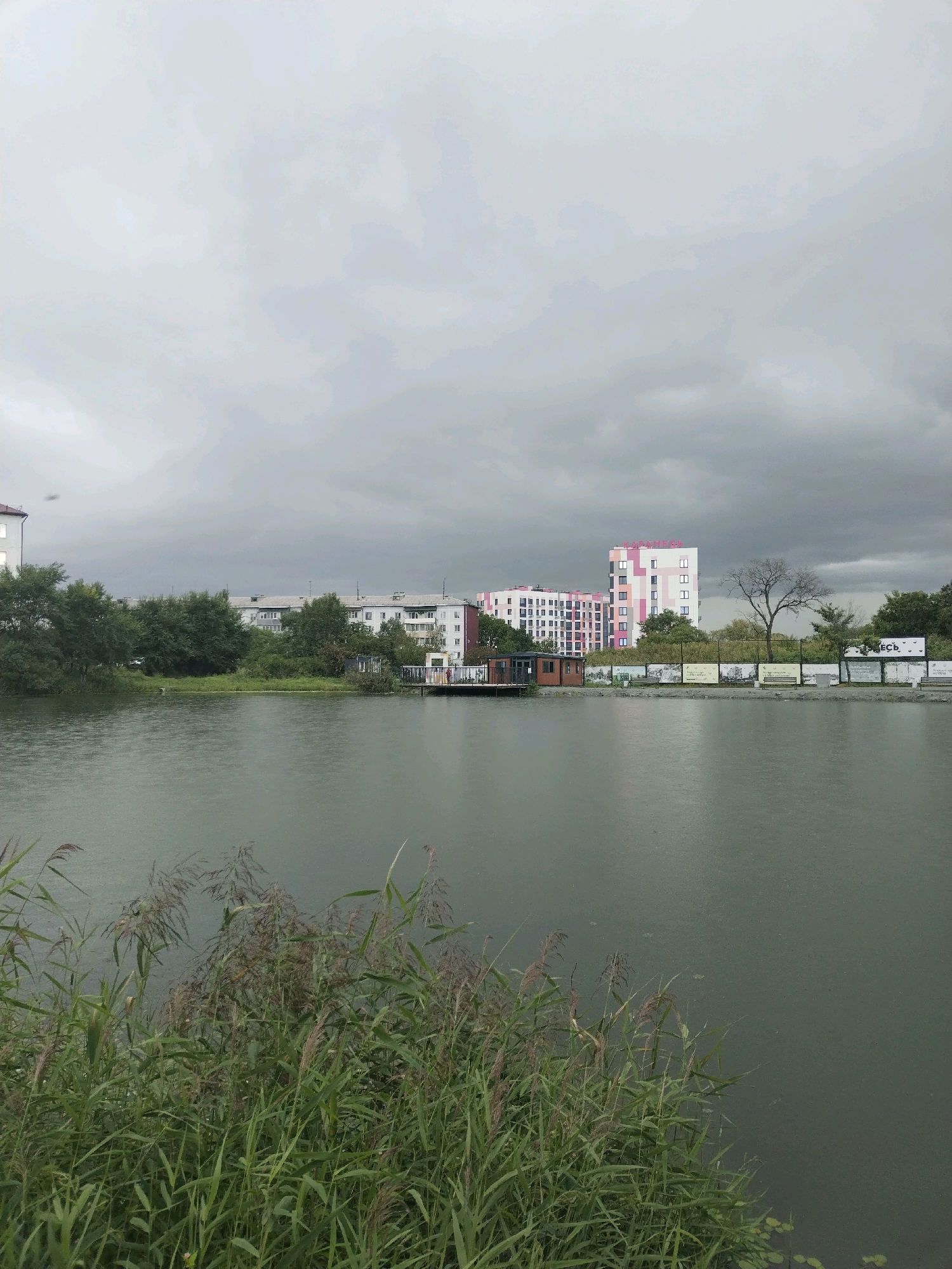 The image shows a body of water, likely a pond or small lake, with reeds and tall grass in the foreground. Across the water, there is a shoreline with trees and several multi-story buildings in the background. One prominent building is modern with pink and white geometric accents. There are also smaller structures, fencing, and benches along the shoreline. The sky is overcast with heavy grey clouds. The scene appears to be an urban or suburban environment, possibly a park or recreational area within the city of Ussurijsk, Russia, given the context provided. There are no people visible in the image. The water's surface shows signs of light rain.