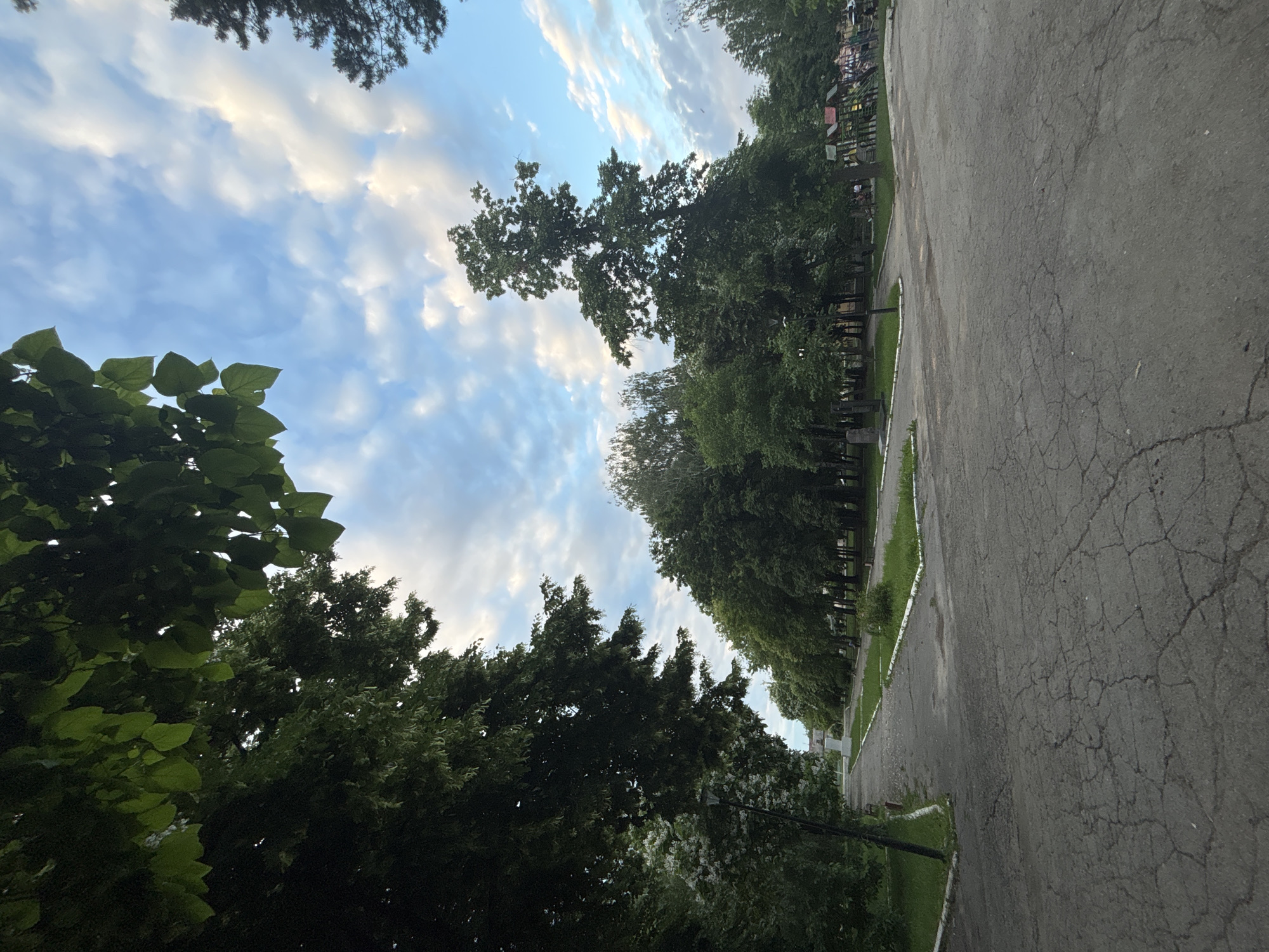 A low-angle shot looks up at a cloudy sky between trees and an asphalt path. The image is rotated 90 degrees clockwise. The sky is blue with scattered white and gray clouds. Lush green trees with full canopies line the right side of the frame, some of them appearing to be deciduous. The trees create a dense green wall. In the foreground on the left, a close-up of dark green leaves obscures some of the sky and trees. The asphalt path is cracked and appears weathered, running along the right edge of the frame and curving slightly into the distance. A strip of green grass and some white edging stones are visible between the asphalt and the trees. In the far distance, beyond the trees, playground equipment with colorful structures is visible. The light suggests it is daytime, possibly late afternoon or early evening, given the soft quality of the light filtering through the clouds and trees. There is no visible text in the image. The overall scene depicts a park or recreational area with mature trees and a paved walkway.