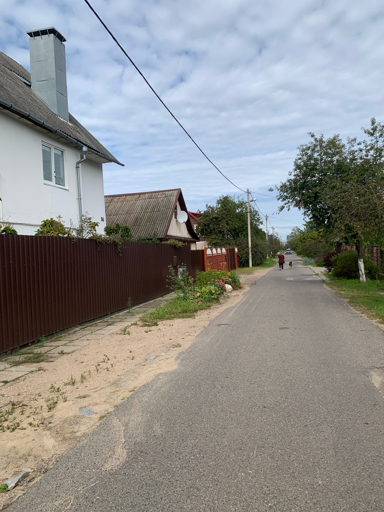 In Minsk, Belarus, a paved road runs through a residential area, bordered by houses, fences, and trees under a cloudy sky. On the left, a two-story white house with a grey metal chimney and a white-framed window is visible, adjacent to a dark brown corrugated metal fence. To the right of the road, a woman wearing a burgundy jacket and black pants walks her medium-sized dog, which appears to be black and tan. Further down the road, a dark-colored car is parked. The environment is characterized by green foliage, a sidewalk, and scattered debris along the roadside.