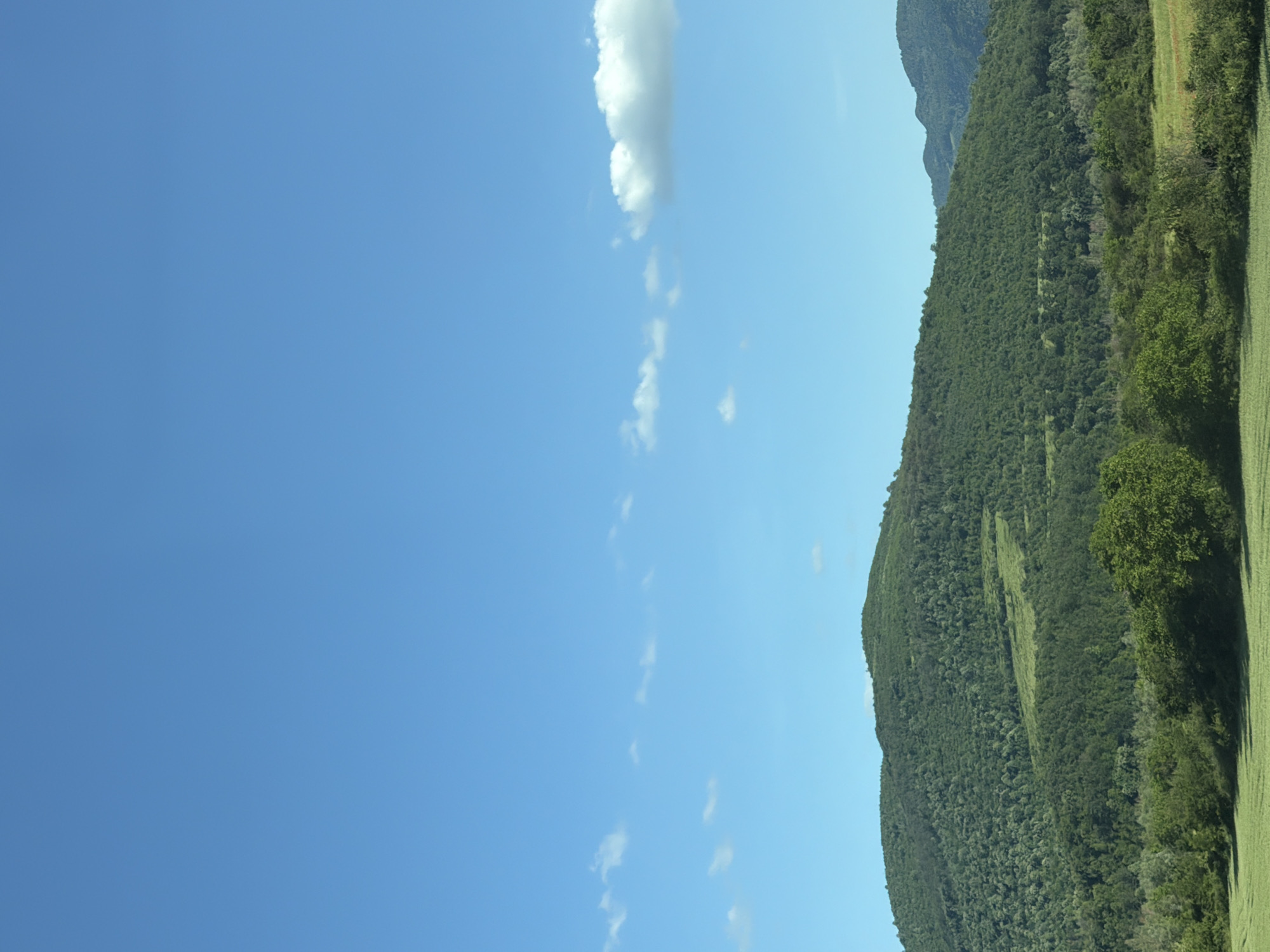 The image shows a landscape scene, likely taken in or around Brestnitsa, Bulgaria, given the prompt's location. The right side of the image features a forested hillside with varying shades of green foliage. The hillside gradually transitions into what appears to be a grassy field in the lower right corner. The left side of the image is dominated by a bright blue sky with scattered white clouds. A larger, more prominent cloud is located in the upper center of the frame. The overall impression is one of a rural or semi-rural environment with a combination of natural and cultivated elements.