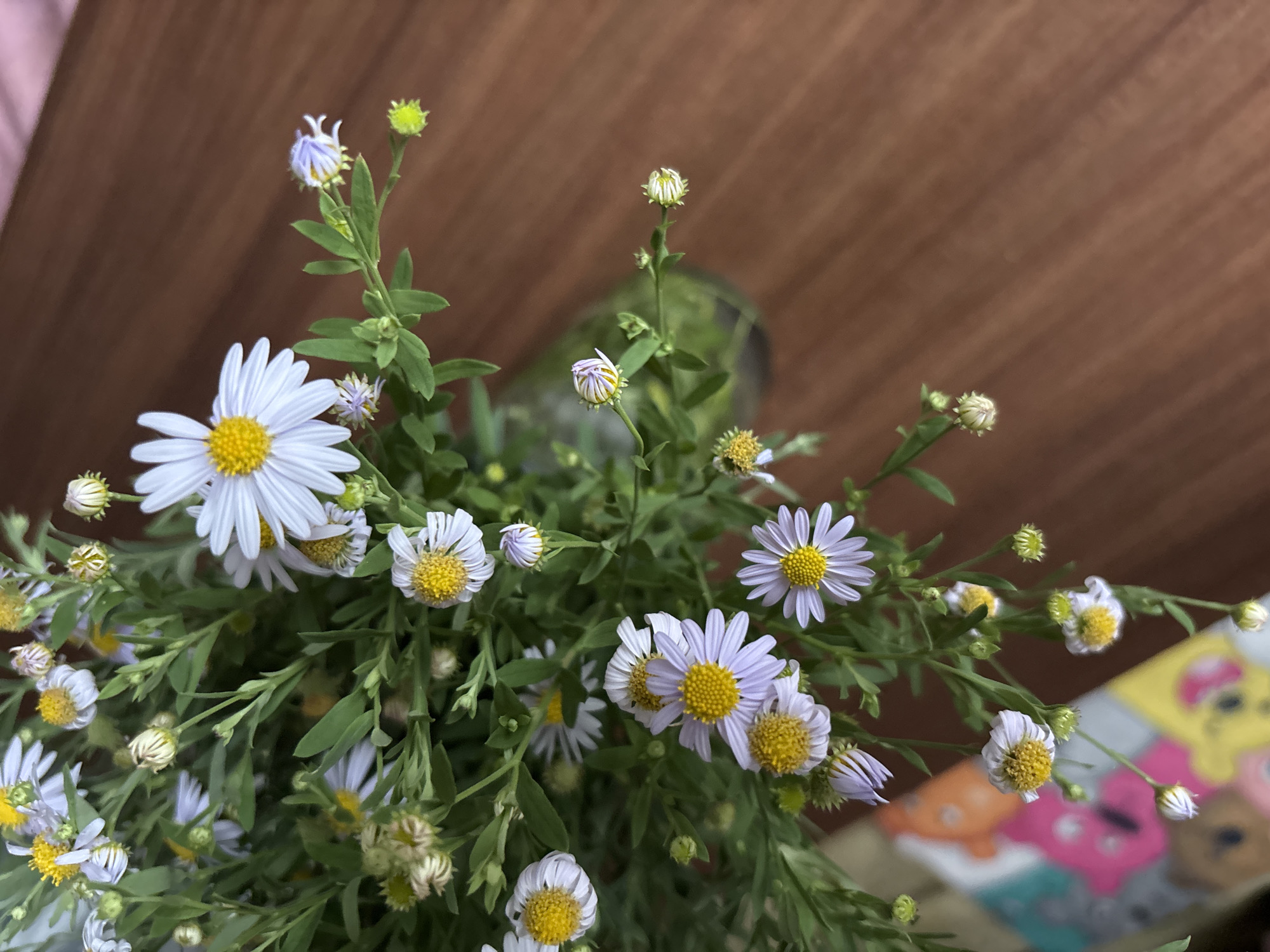 A close-up, overhead shot features a bouquet of white and light purple daisies with yellow centers, nestled in a clear glass vase. The flowers, some fully bloomed and others in bud, are set against a dark brown wooden surface, likely a table. To the left, a blurry, colorful object with cartoon characters suggests a child's toy or book. The scene is indoors. The image was taken in Blagoveshchensk, Russia.