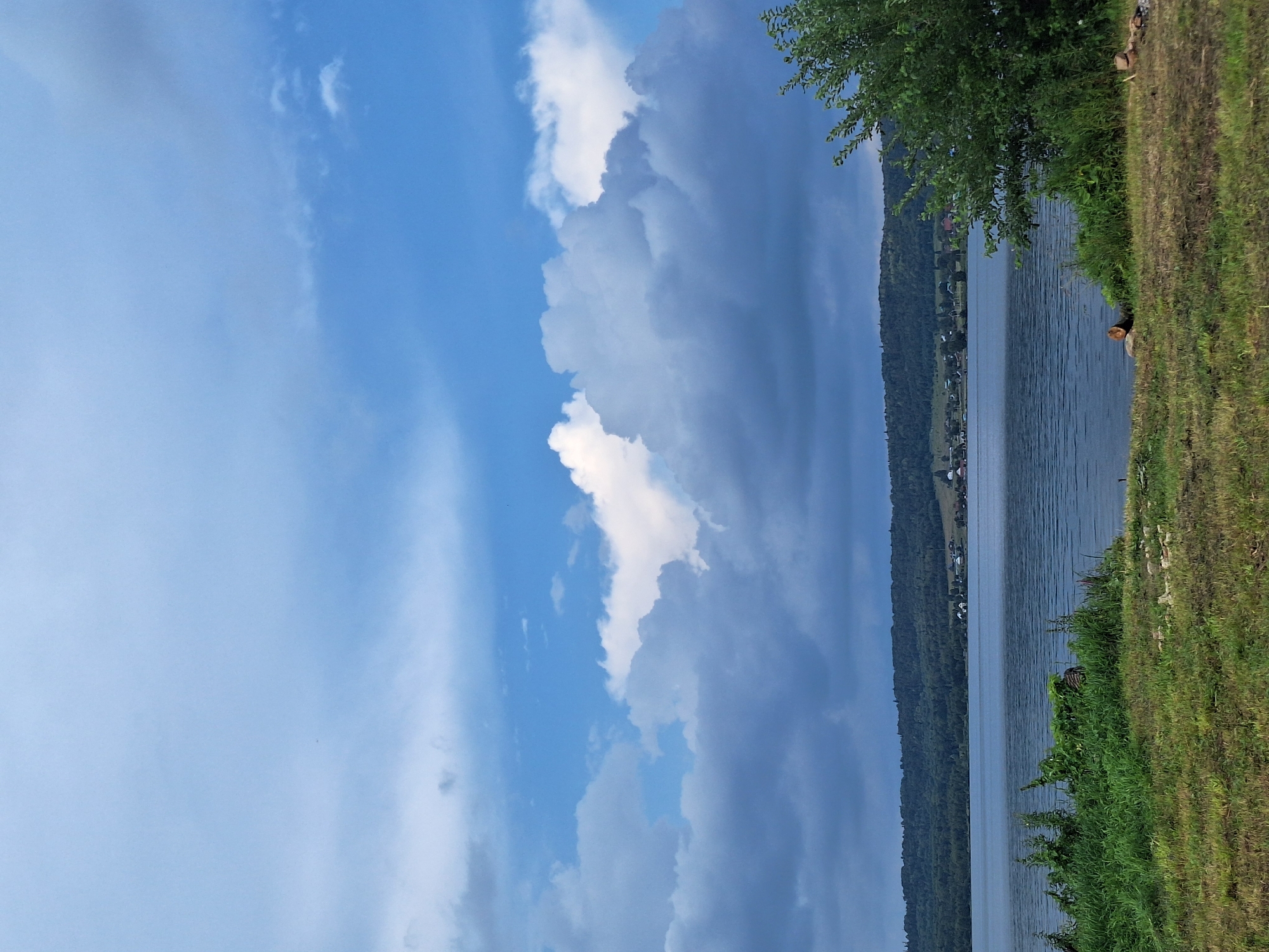 The image depicts a tranquil lake scene with a distant shoreline populated by a small village nestled amongst rolling, tree-covered hills. The sky above is a dramatic canvas of blue, punctuated by large, fluffy white and grey clouds, suggesting a dynamic weather pattern. In the foreground, lush green grass and thick vegetation line the edge of the lake, with a few scattered logs adding a rustic touch to the landscape. The water is calm, reflecting the sky and the distant landscape. The overall impression is one of natural beauty and serenity. While the image does not explicitly show any people, it captures a serene natural environment that could be located in or near Atamanovka, Russia, given its depiction of a typical Russian rural landscape.