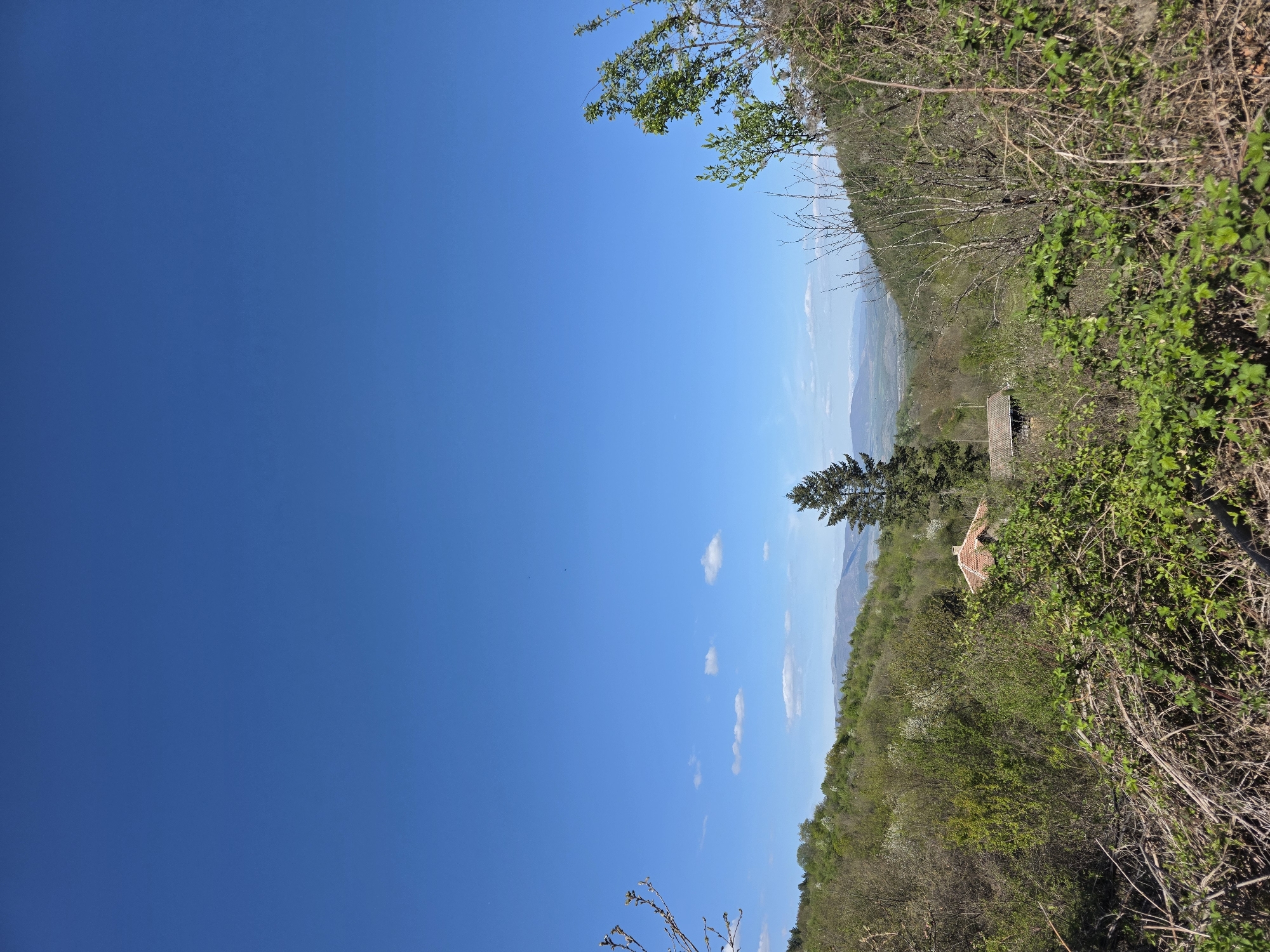 The image presents a wide, scenic view of a natural landscape in Lelintsi, Bulgaria, under a vast, clear blue sky. The sky dominates the upper portion of the frame, appearing bright and cloudless for the most part, with only a few small, scattered white cumulus clouds visible towards the distant horizon on the right. This suggests a sunny day, likely midday or early afternoon.
Below the expansive sky, the horizon features layers of distant rolling hills or mountains, fading into a lighter atmospheric haze. The foreground and midground are densely covered with various types of vegetation, including both evergreen and deciduous trees and bushes, some showing vibrant green foliage and others still with bare branches or early signs of spring growth.
Nestled within the trees on the right side of the landscape, a small structure with a distinct reddish-brown tiled roof is visible, possibly a rural building, shed, or shelter. The immediate foreground on the right features dense, untamed bushes and branches, indicating the perspective is from an elevated, natural overlook.
No people or activities are visible in the tranquil scene. There is no visible text. The overall impression is one of peaceful natural beauty and an expansive view over a rural, hilly region.