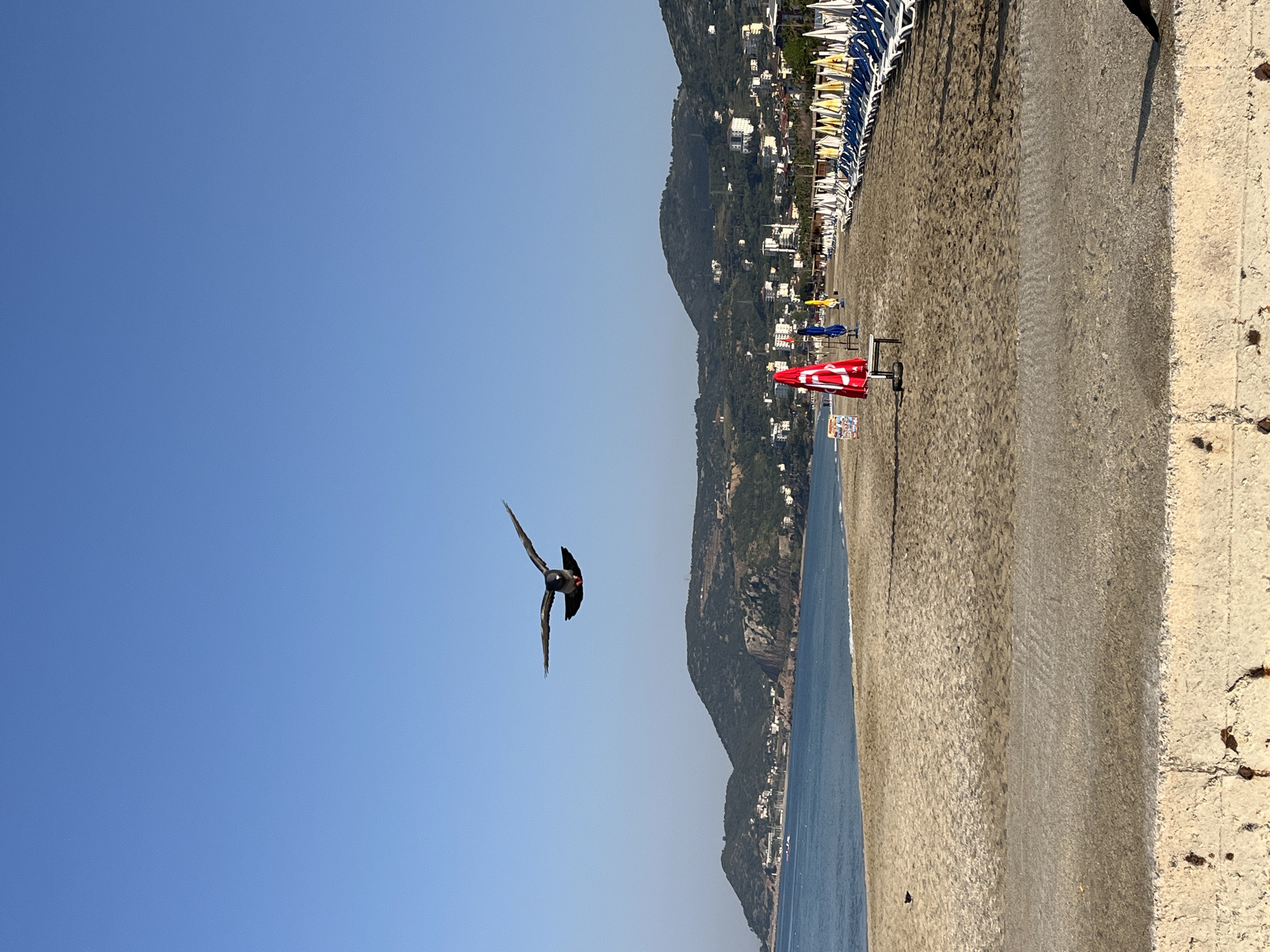 A bird flies over a beach in Alanya, Turkey. A mountainside with buildings is adjacent to the beach. Beach umbrellas and lounge chairs line the sand. A red and white striped umbrella stands on the beach. The sky is clear and blue. The edge of a concrete wall is visible on the right. The sea is a dark blue color.