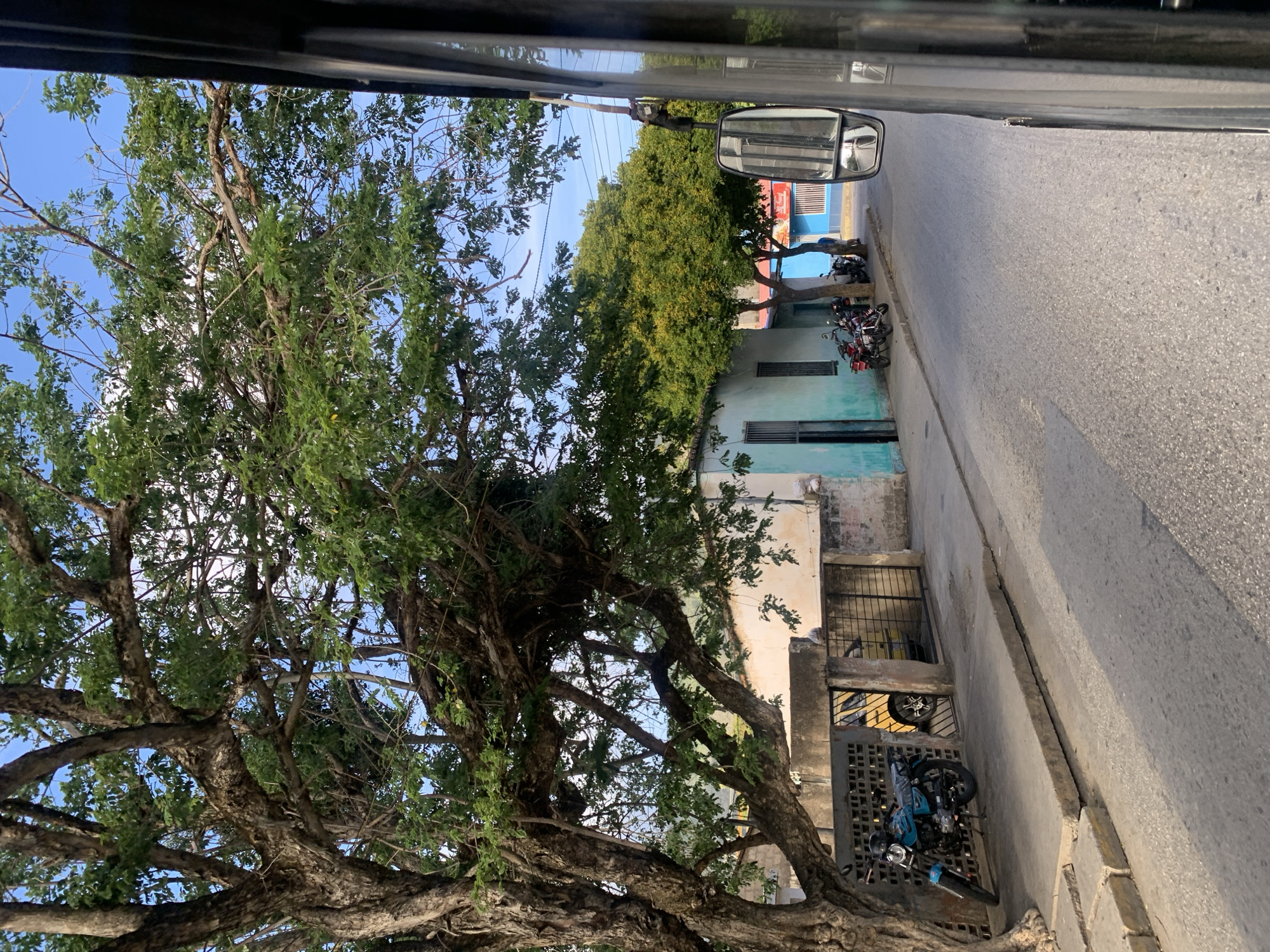 A street scene in La Asunción, Venezuela, captured from a moving vehicle. A large tree with thick branches dominates the left side of the frame. In the background, there is a row of colorful buildings, primarily painted in light blue and white. Several motorcycles are parked along the sidewalk in front of these buildings. A yellow vehicle is visible behind a decorative fence. The road is paved and appears to be a typical urban street. The sky is blue with some scattered clouds.