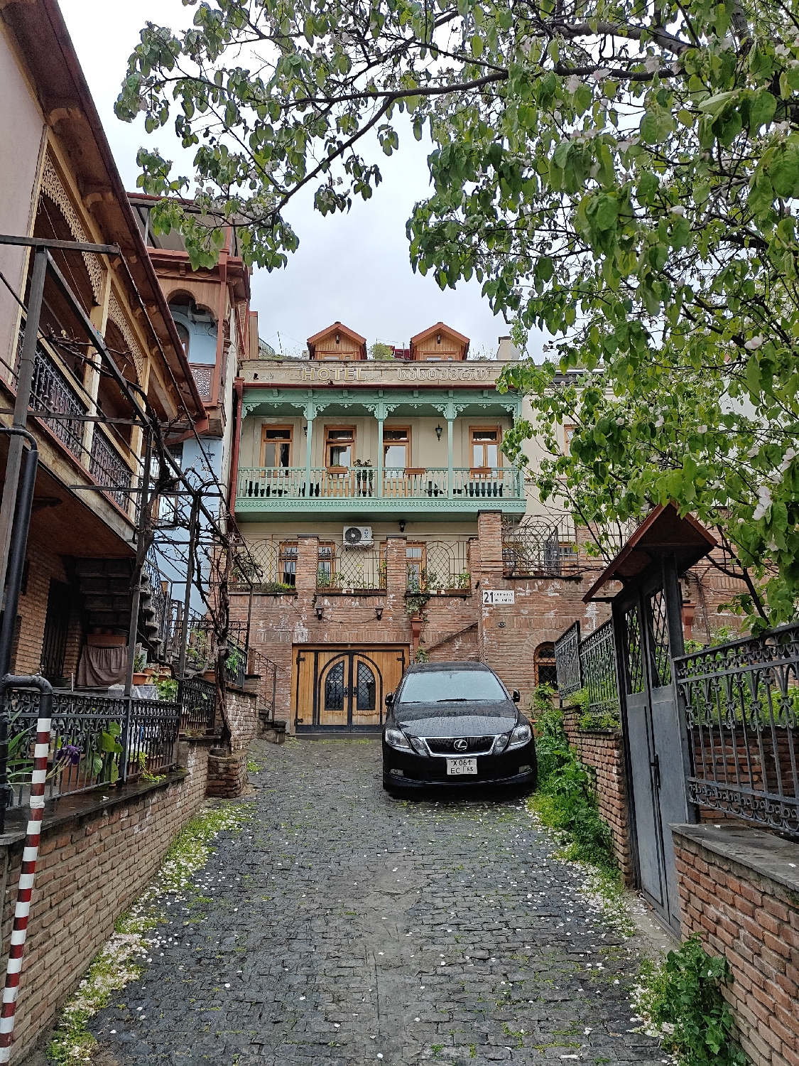 The image depicts a charming, narrow cobblestone alley leading to a prominent building in what appears to be a historic district of Tbilisi, Georgia. The path itself is damp and scattered with white petals, suggesting recent precipitation or moisture and indicating springtime.
At the end of the alley stands a multi-story building featuring a light-colored facade with a distinctive mint-green carved wooden balcony on its second floor. Above this balcony, the word "HOTEL" is clearly visible in capital letters, followed by Georgian script "სოლოღუბი" (Solughubi). The roof of this building has several red-tiled gabled dormer windows. The ground floor and the walls lining the alley are constructed from rustic red brick. A large, ornate wooden double door serves as the main entrance to the building at the alley's end.
A black Lexus sedan is parked directly in front of these wooden doors, facing the viewer. Its license plate, "X 061 EC 65", is visible. To the left, another traditional building with elaborate wooden balconies can be partially seen. Both sides of the alley are bordered by low brick walls topped with decorative black metal fences, some of which have climbing vines.
Lush greenery dominates the upper part of the scene, with a large tree featuring light green leaves and white blossoms framing the view overhead. Additional plants and grass grow along the edges of the cobbled path. The sky is overcast, casting a soft, muted light over the scene. An address sign on the right-hand brick wall displays the number "21" and further Georgian text below it. A red and white striped marker pole stands near the left wall. No people are visible, contributing to a peaceful and serene atmosphere.