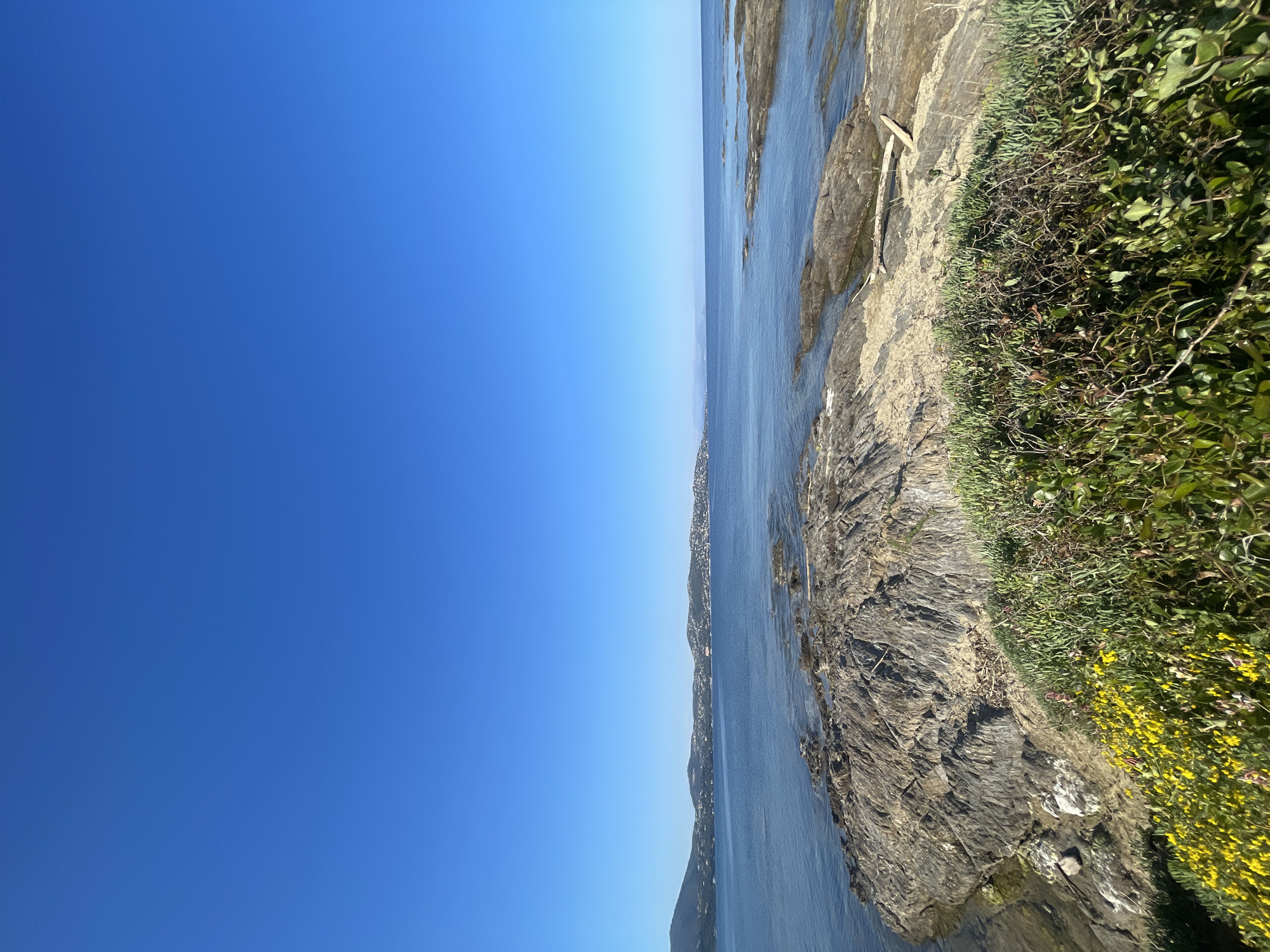 The image shows a coastal scene with a clear blue sky occupying the left portion of the frame. The right portion features a rocky shoreline meeting a body of water. The shoreline is covered with vegetation, including green plants and yellow flowers. The water appears calm, with a distant coastline visible in the center of the image. Sainte-Maxime, France, is not clearly identifiable in the image without prior knowledge of the location.