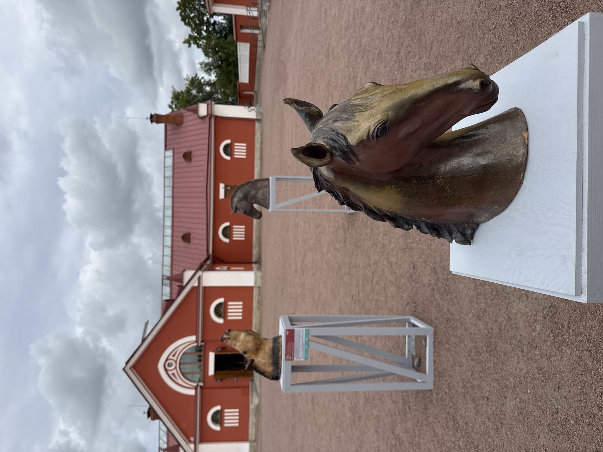 A bronze sculpture of a horse's head, in the foreground, is displayed on a white pedestal. The sculpture is a dark brown with lighter brown and black accents. In the middle ground, to the left, another horse head sculpture is visible on a grey metal stand. This sculpture appears to be howling. Further in the middle ground, a third horse head sculpture is visible on a white pedestal. The sculptures are arranged in an open courtyard with a red building in the background. The building has white trim and arched windows with white vertical bars. The courtyard is covered in small, reddish-brown gravel. The sky is overcast with grey clouds. The scene appears to be in the city of Pushkin, Russia, likely at a museum or historical site.
