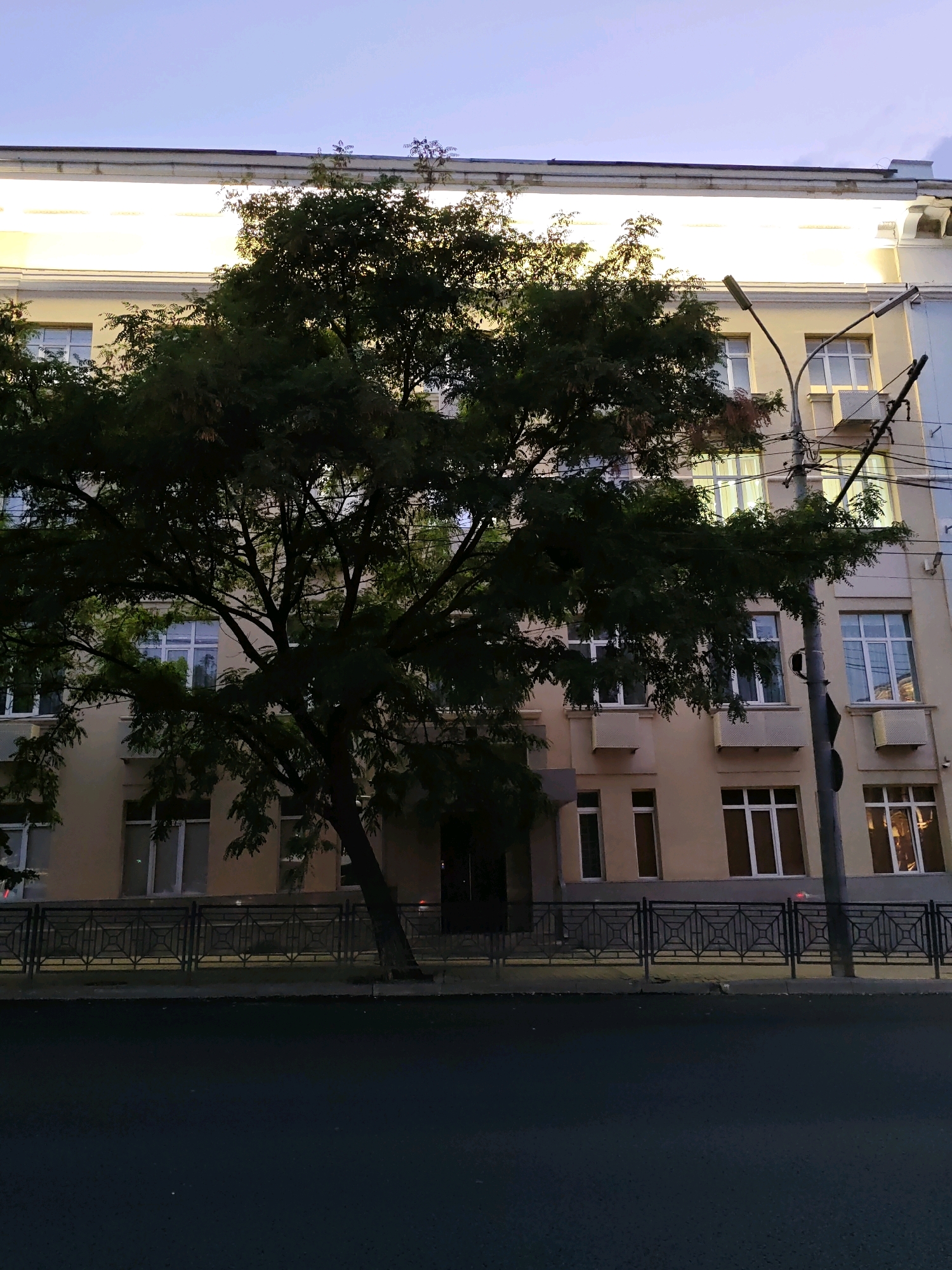 The image depicts an evening view of a street in Rostov-on-Don, Russia. In the foreground, a dark asphalt road is visible. Behind the road, a black metal fence with a geometric pattern separates the street from a sidewalk and a building. A large tree with dark green foliage dominates the middle ground, its branches partially obscuring the building.
The building itself appears to be a multi-story structure with a light beige facade. Its windows are white-framed and some are illuminated from within, suggesting that the photograph was taken after sunset. There are decorative elements on the building's facade, including what appear to be cornices and relief details. Streetlights and electrical wires are visible near the building, indicating an urban setting. The sky above is a pale, twilight blue.