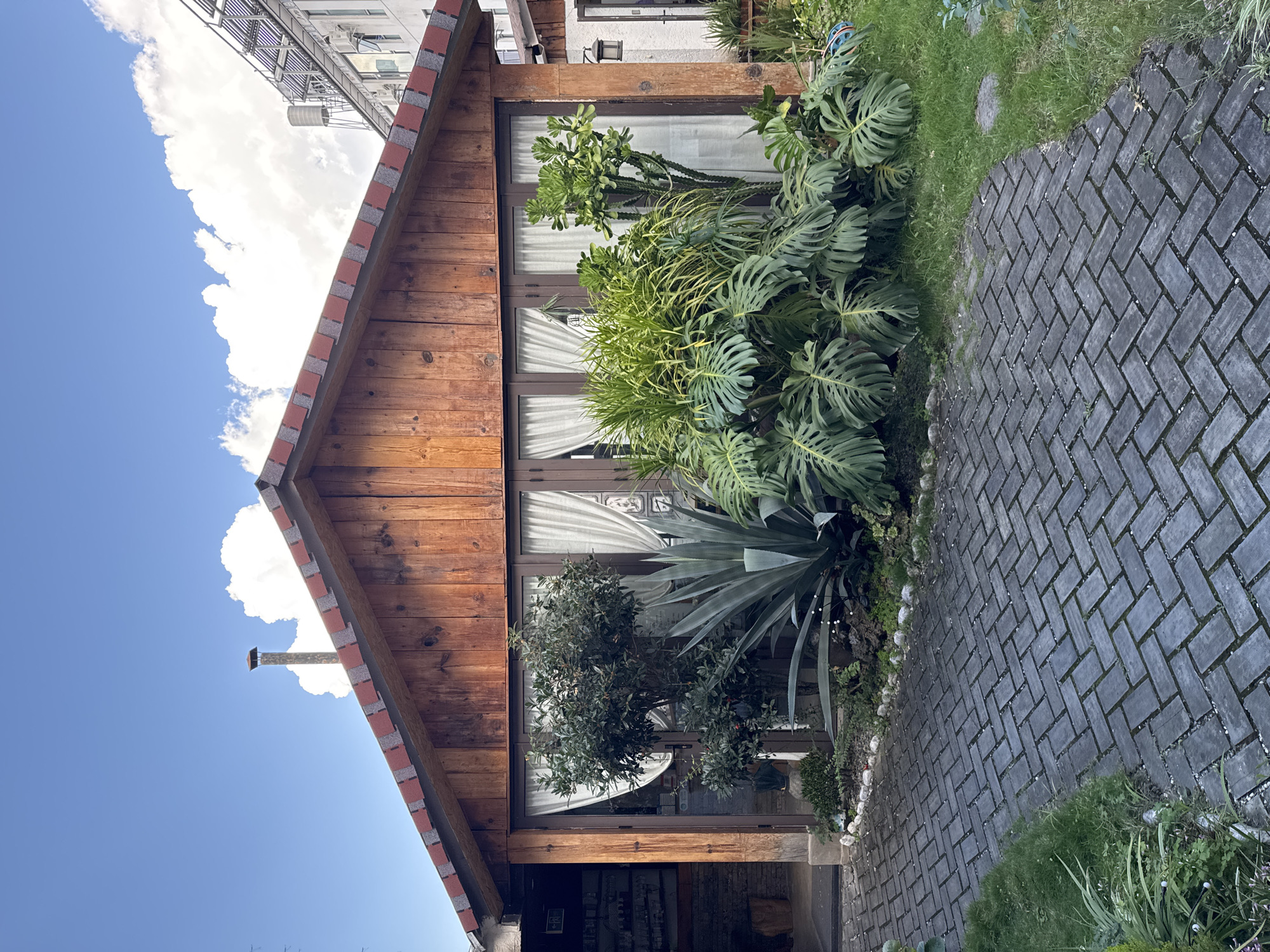 The image depicts the exterior of a small, wooden building with a gable roof, likely located in Dali City, China. A pathway of grey interlocking pavers leads to the entrance of the building, which features large glass doors with white curtains. Lush green plants, including a large agave and monstera plants, are situated in front of the building, flanking the pathway. A chimney is visible on the roof, and a portion of a larger, modern building with solar panels can be seen in the background. The sky is blue with scattered white clouds. No people are visible in the scene.
