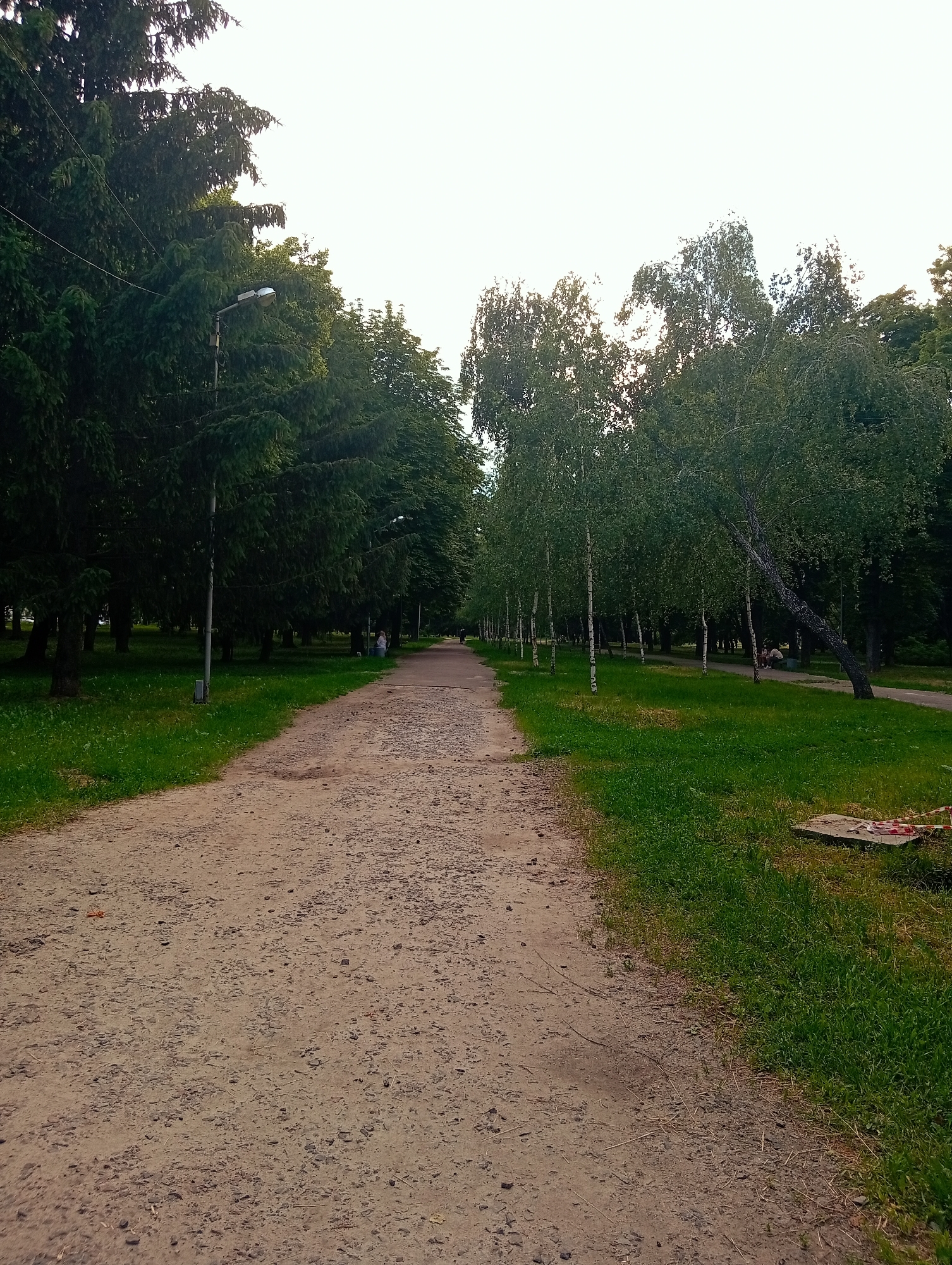 The image presents a ground-level view of a park pathway in Poltava, Ukraine, extending into the distance under a bright, overcast sky. A wide, unpaved dirt and gravel path, strewn with small stones, dominates the foreground and center. Green grass borders both sides of this main path.
On the left, a dense row of tall, dark green coniferous trees lines a secondary paved walkway. Several grey streetlights with white luminaires are spaced along this line, receding into the background. A solitary figure is visible walking on the paved path further down, and one person is seated on a bench adjacent to the paved section.
On the right, a row of slender birch trees with light-colored trunks and green foliage forms a clear boundary. One birch tree in the mid-ground leans distinctly to the right. Beyond these, a darker line of deciduous trees extends into the distance. A parallel paved path runs alongside the birch trees, where multiple individuals are visible sitting on benches. In the immediate bottom right corner, a concrete utility cover marked with red and white striped caution tape is visible on the grass. The overall scene is illuminated by natural daylight, with no harsh shadows.