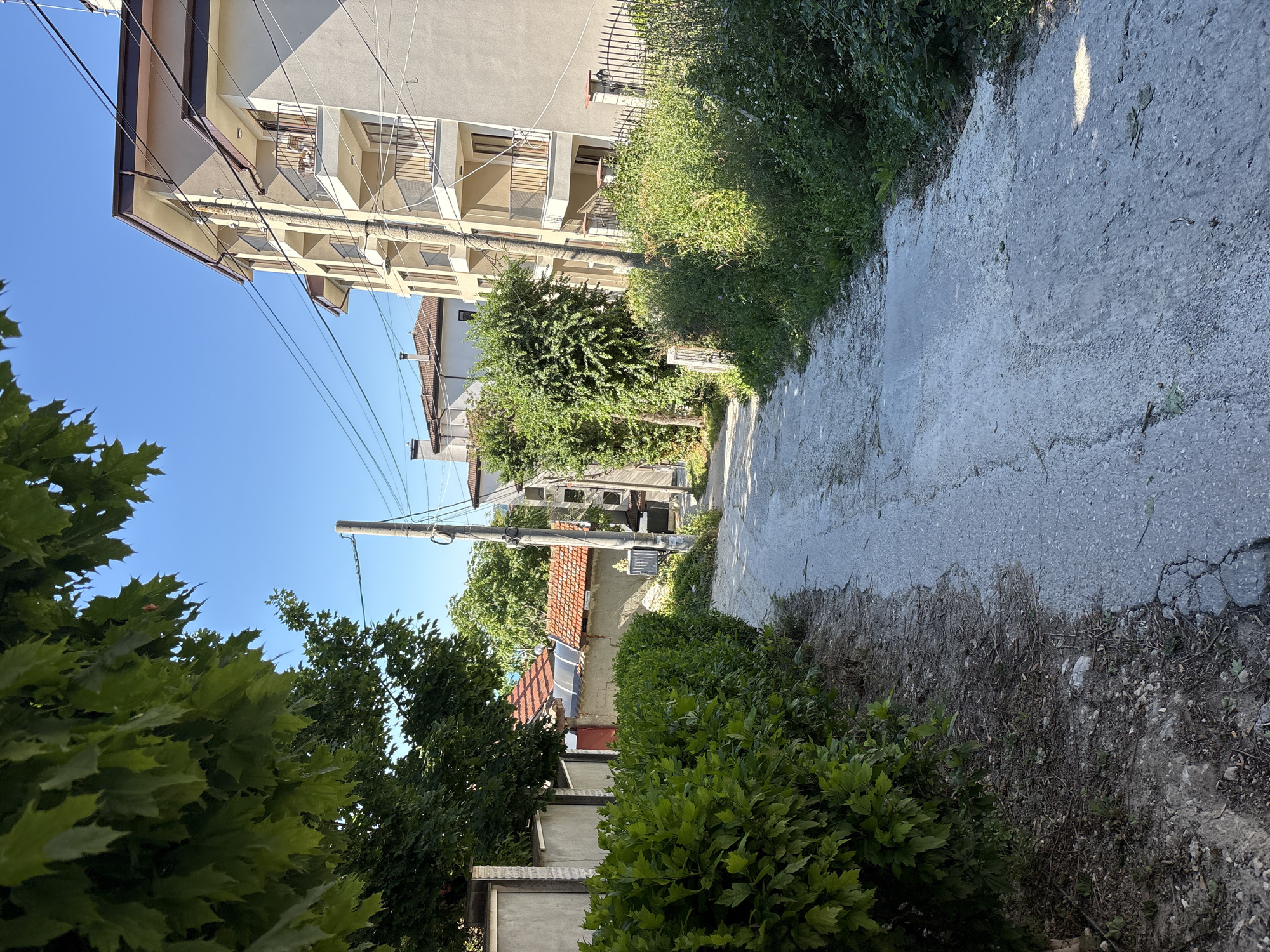 The image depicts a narrow, unpaved road in a residential area. On the left, a dense hedge runs along the edge of the road, with a concrete wall and part of a building visible behind it. Large green leaves of a tree hang over the scene from the upper left. On the right side of the road, a modern apartment building with multiple balconies stands, and further down, the road curves and is flanked by overgrown vegetation. A utility pole with numerous wires stands in the middle ground. The sky is clear blue. The overall impression is one of a slightly overgrown, somewhat neglected urban periphery. The scene is likely located in a less developed or older part of Varna, Bulgaria, possibly in a neighborhood with a mix of older houses and newer constructions. There are no people or animals visible in the image.